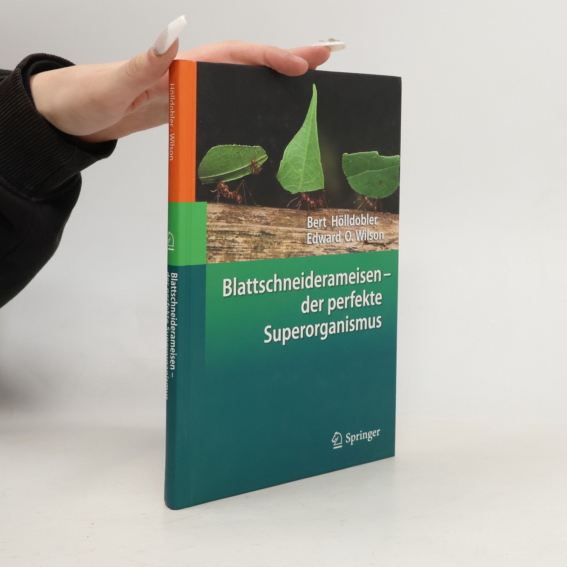 Bert Hölldobler Blattschneiderameisen – der perfekte Superorganismus