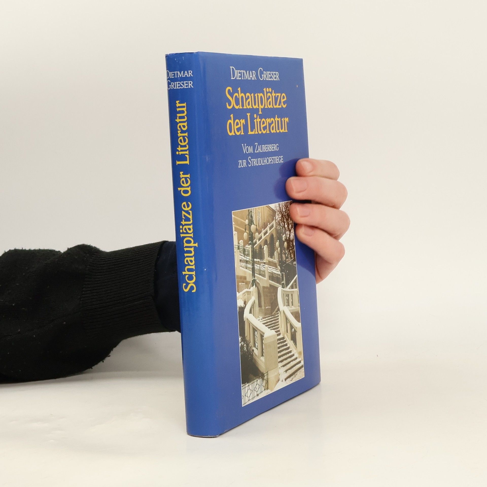 Dietmar Grieser Schauplätze der Literatur vom Zauberberg zur Strudlhofstiege