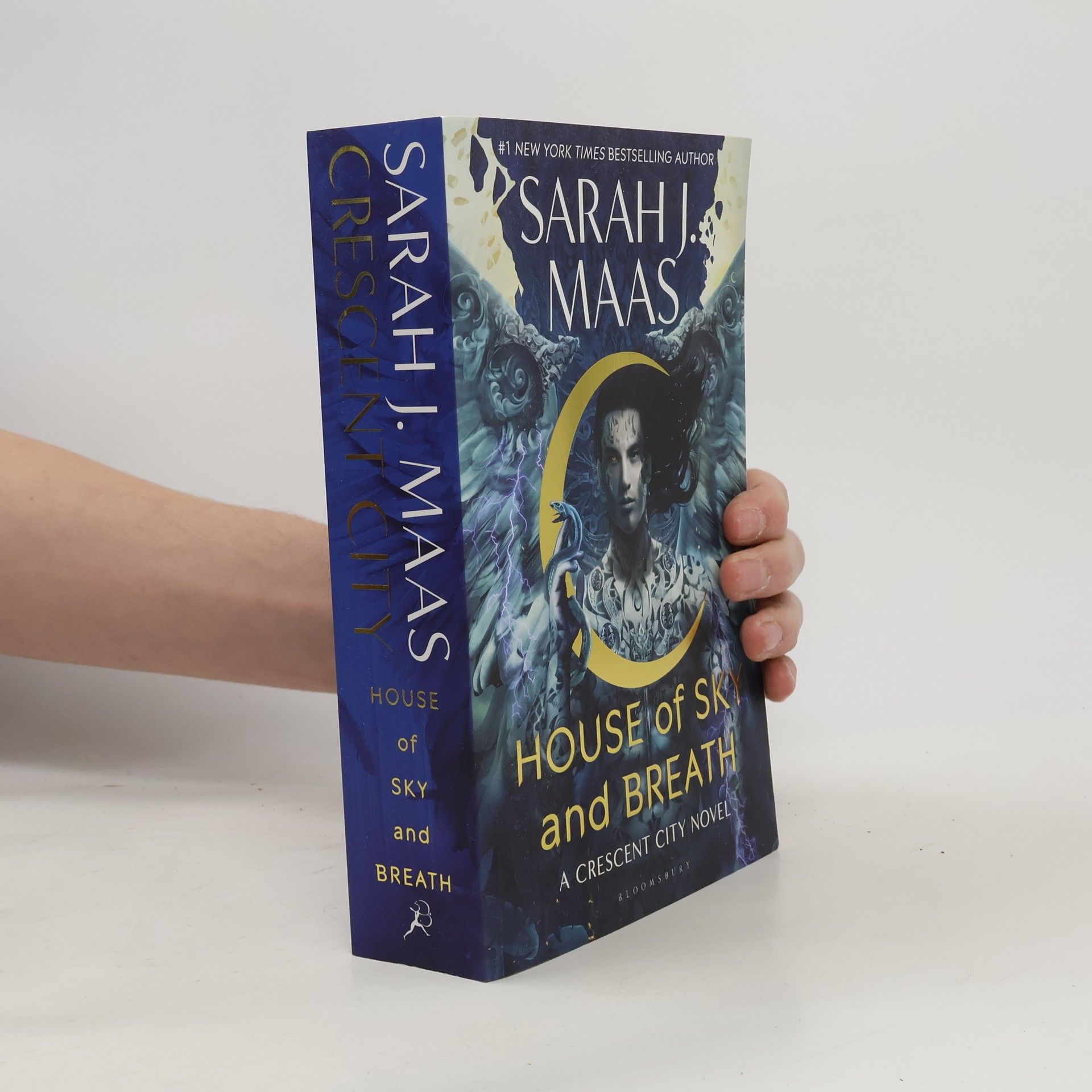 Sarah J. Maas House of sky and breath