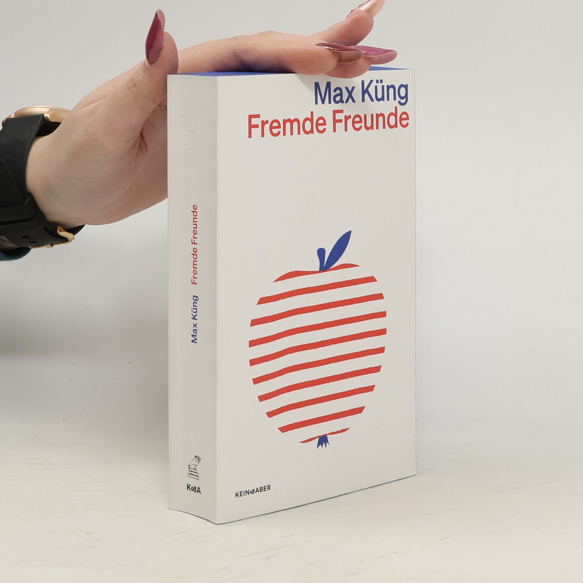 Max Küng Fremde Freunde