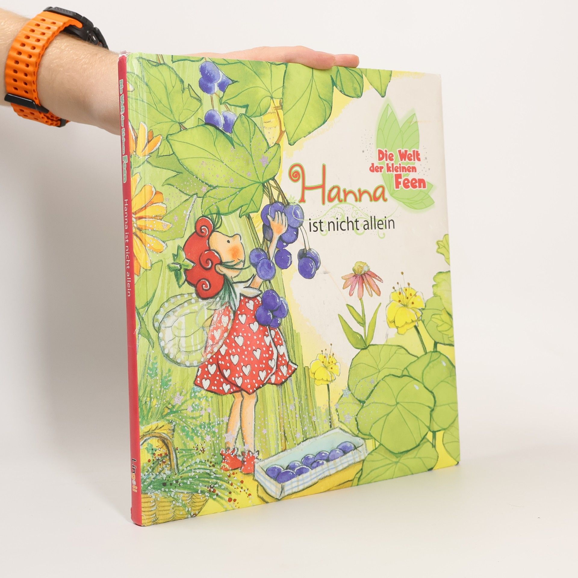 Claudia Hornung Die Welt der kleinen Feen - Hanna ist nicht allein