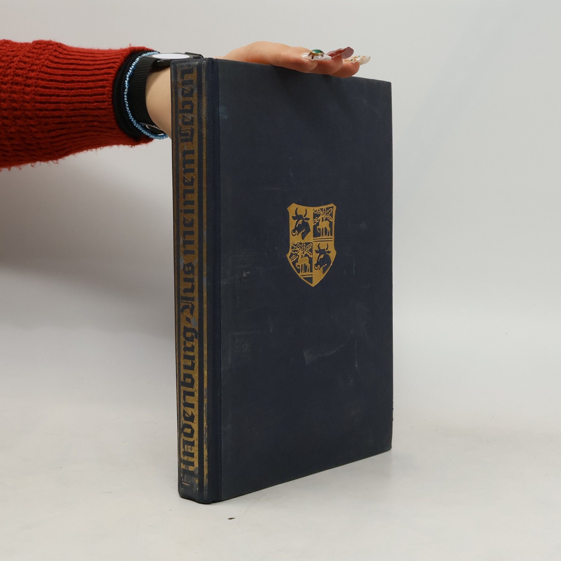 Generalfeldmarschall von Hindenburg Aus meinem Leben