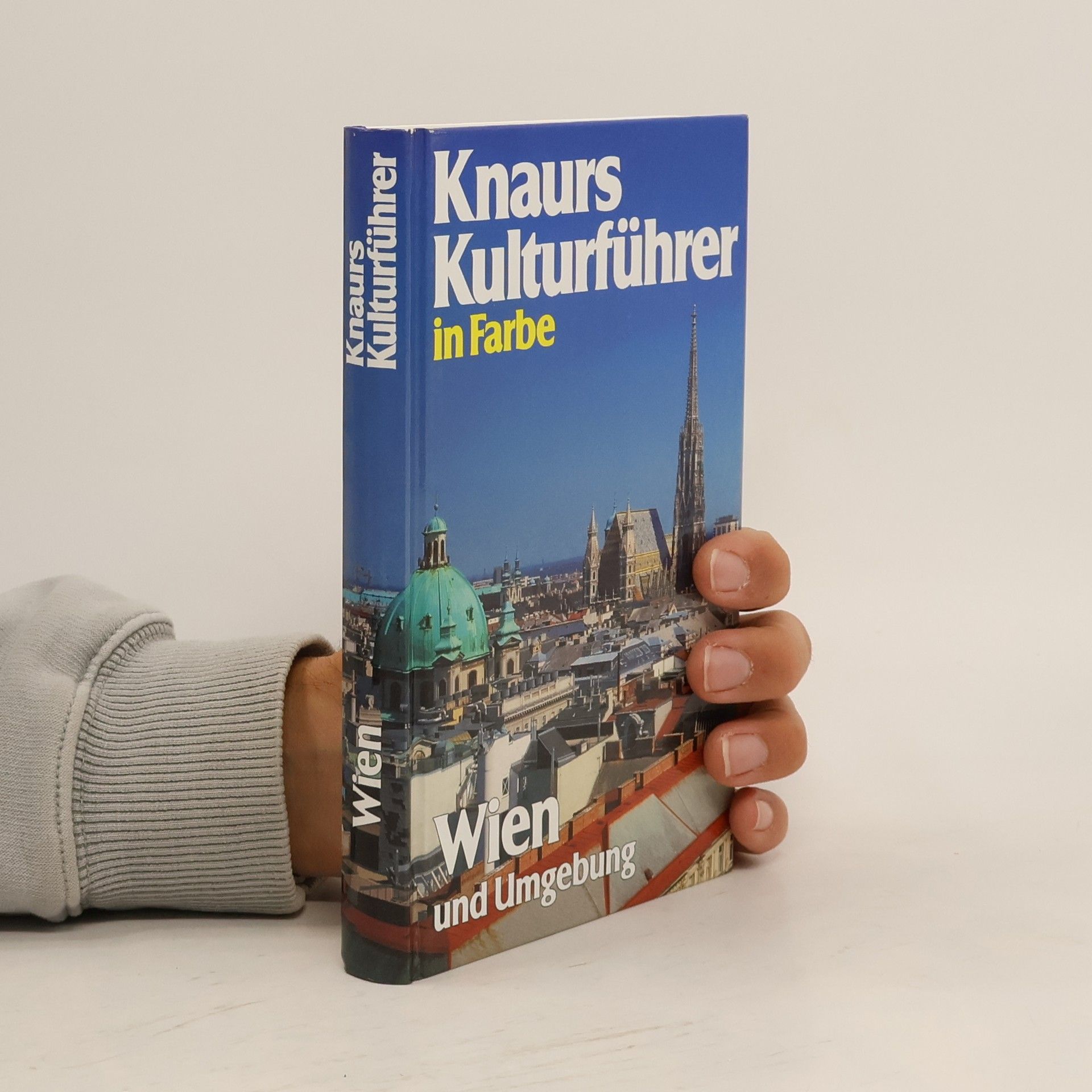 Kolektiv autorů Knaurs Kulturführer in Farbe. Wien und Umgebung