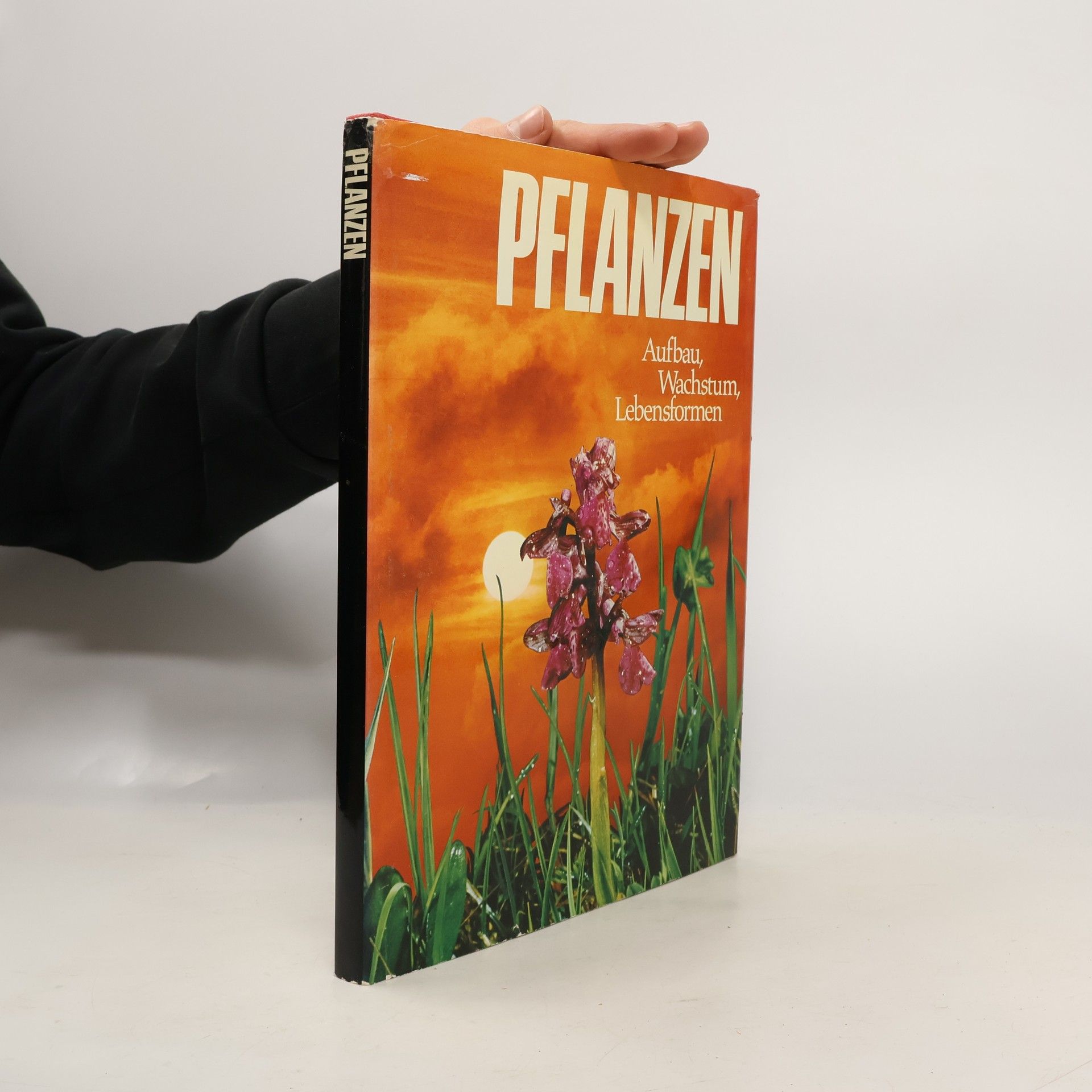 Autorenkollektiv Pflanzen