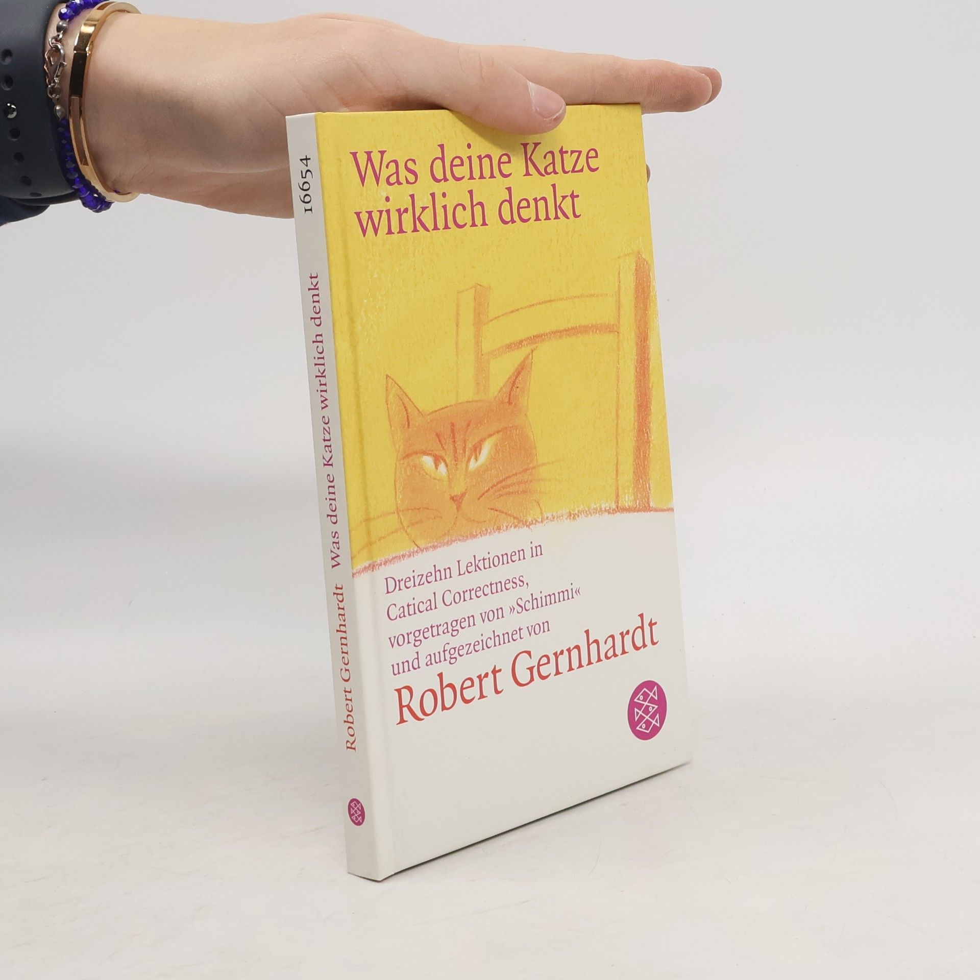 Robert Gernhardt Was deine Katze wirklich denkt