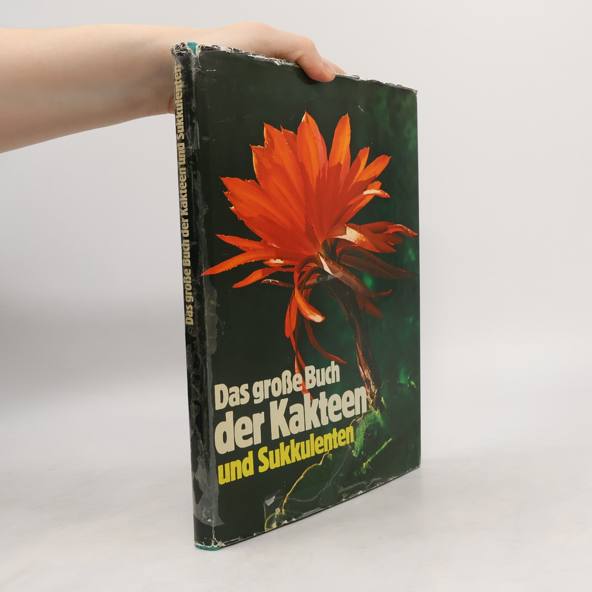 Autorenkollektiv Das grosse Buch der Kakteen und Sukkulenten