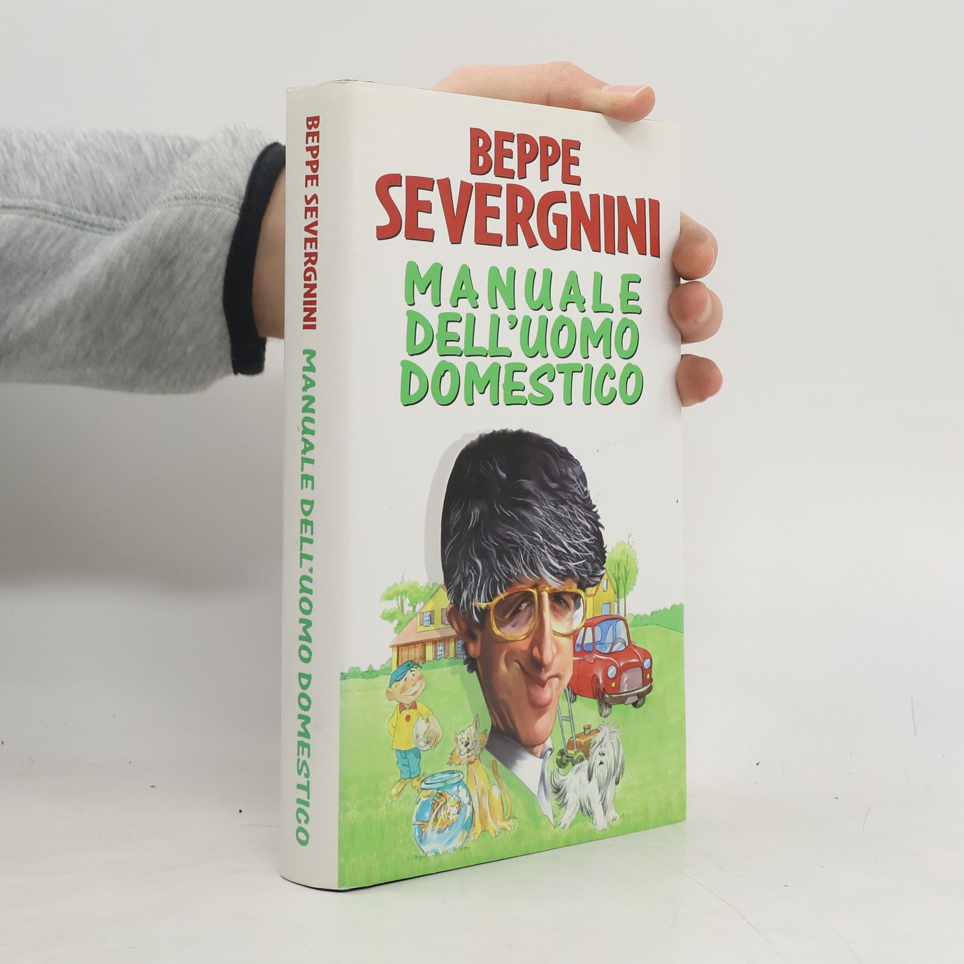 Beppe Severgnini Manuale dell'uomo domestico