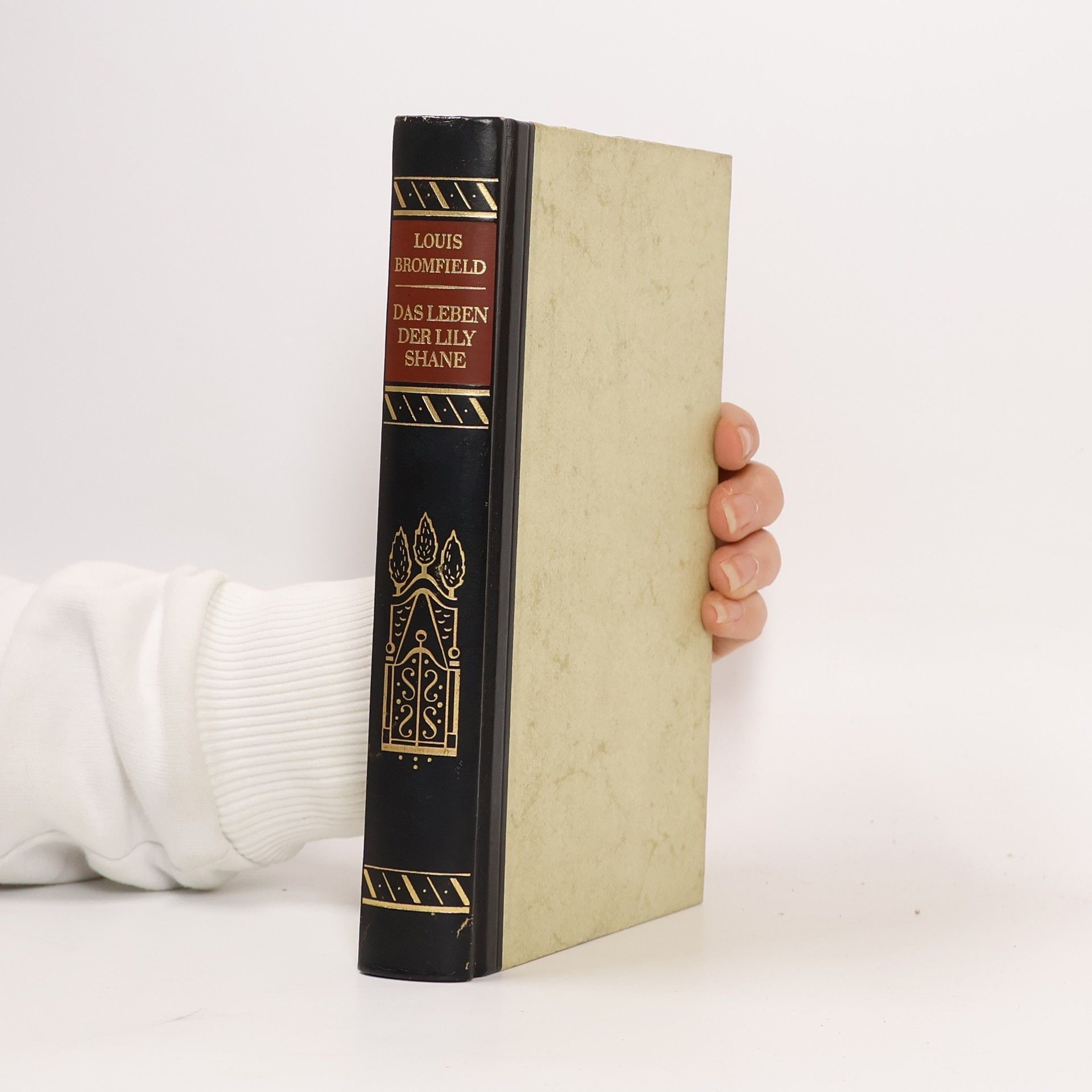 Louis Bromfield Das Leben der Lily Shane