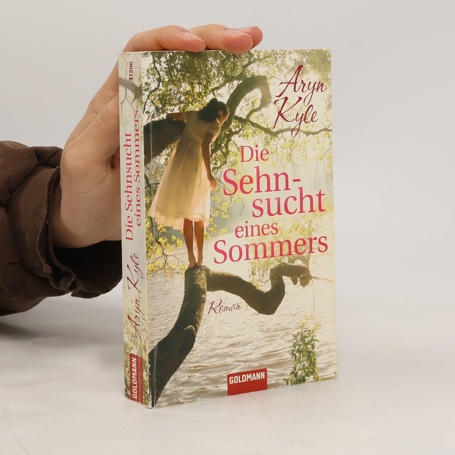 Aryn Kyle Die Sehnsucht eines Sommers