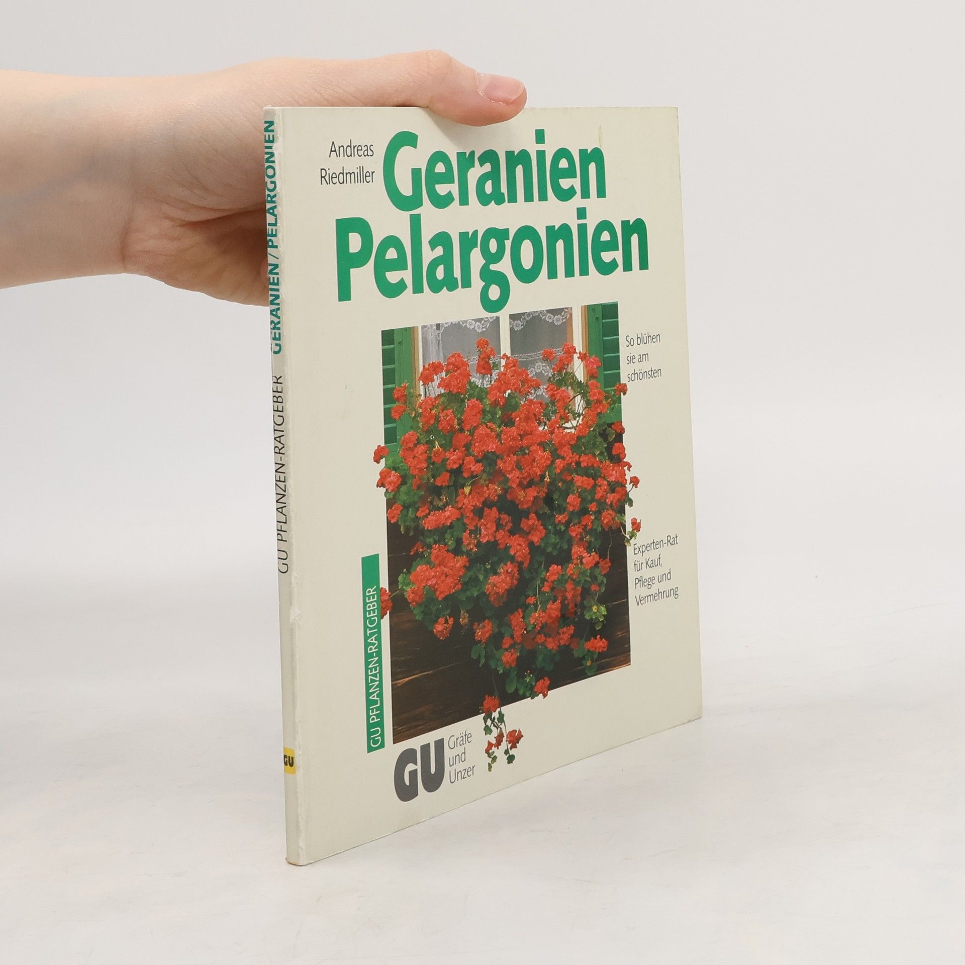 Andreas Riedmiller Geranien Pelargonien