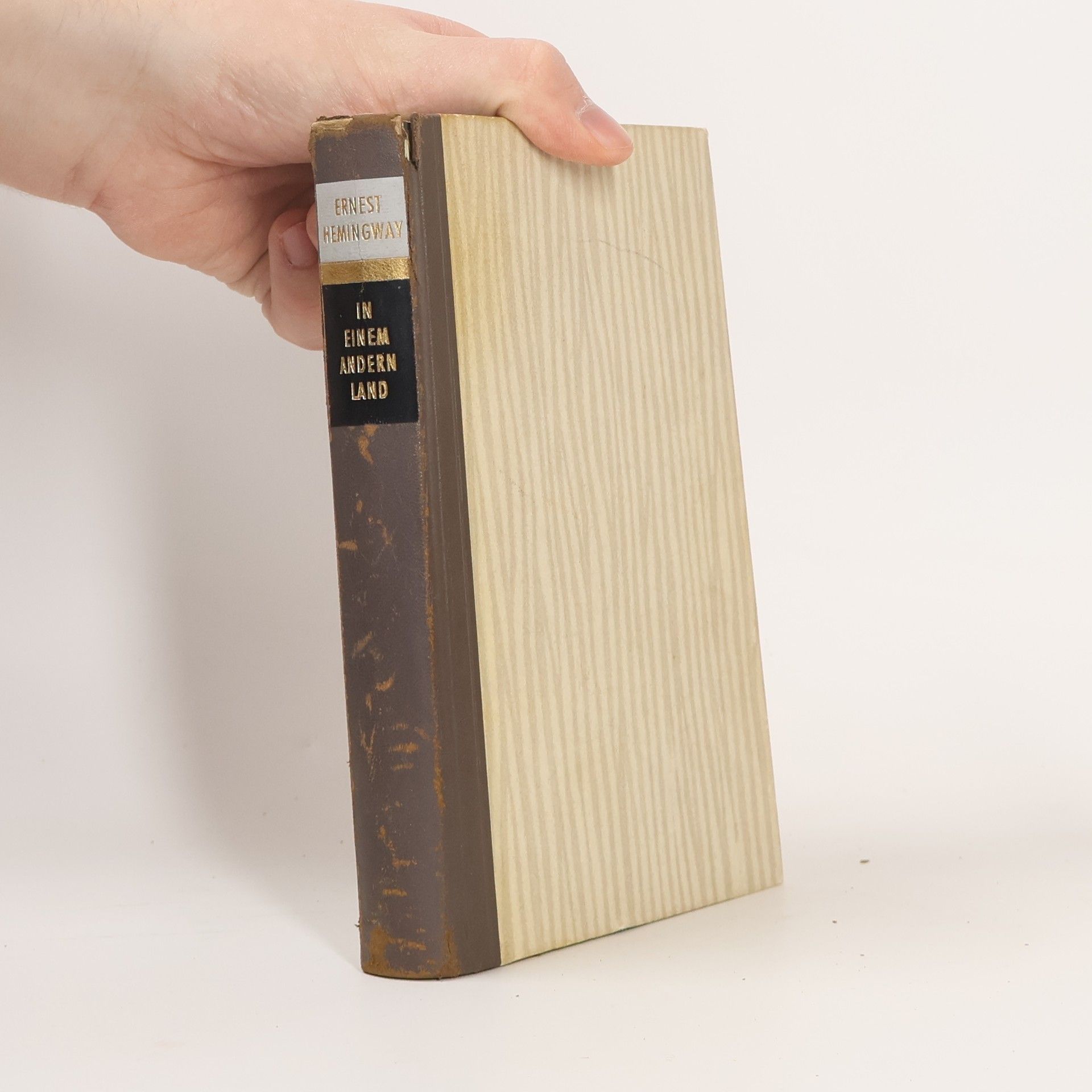 Ernest Hemingway In einem anderen Land