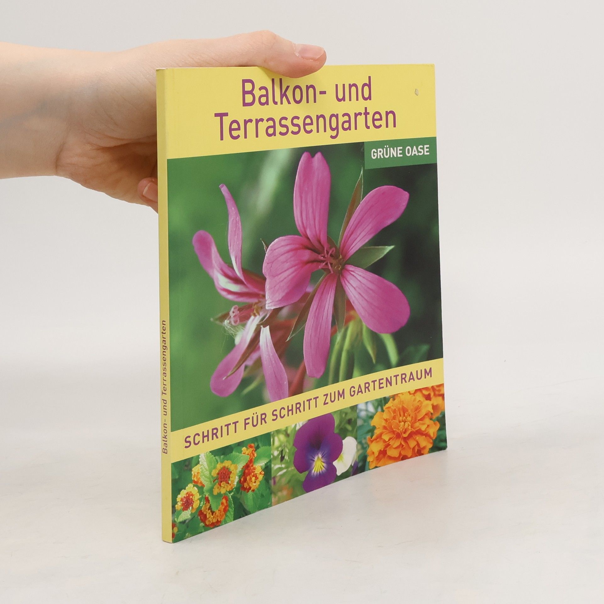 Autorenkollektiv Balkon- und Terrassengarten