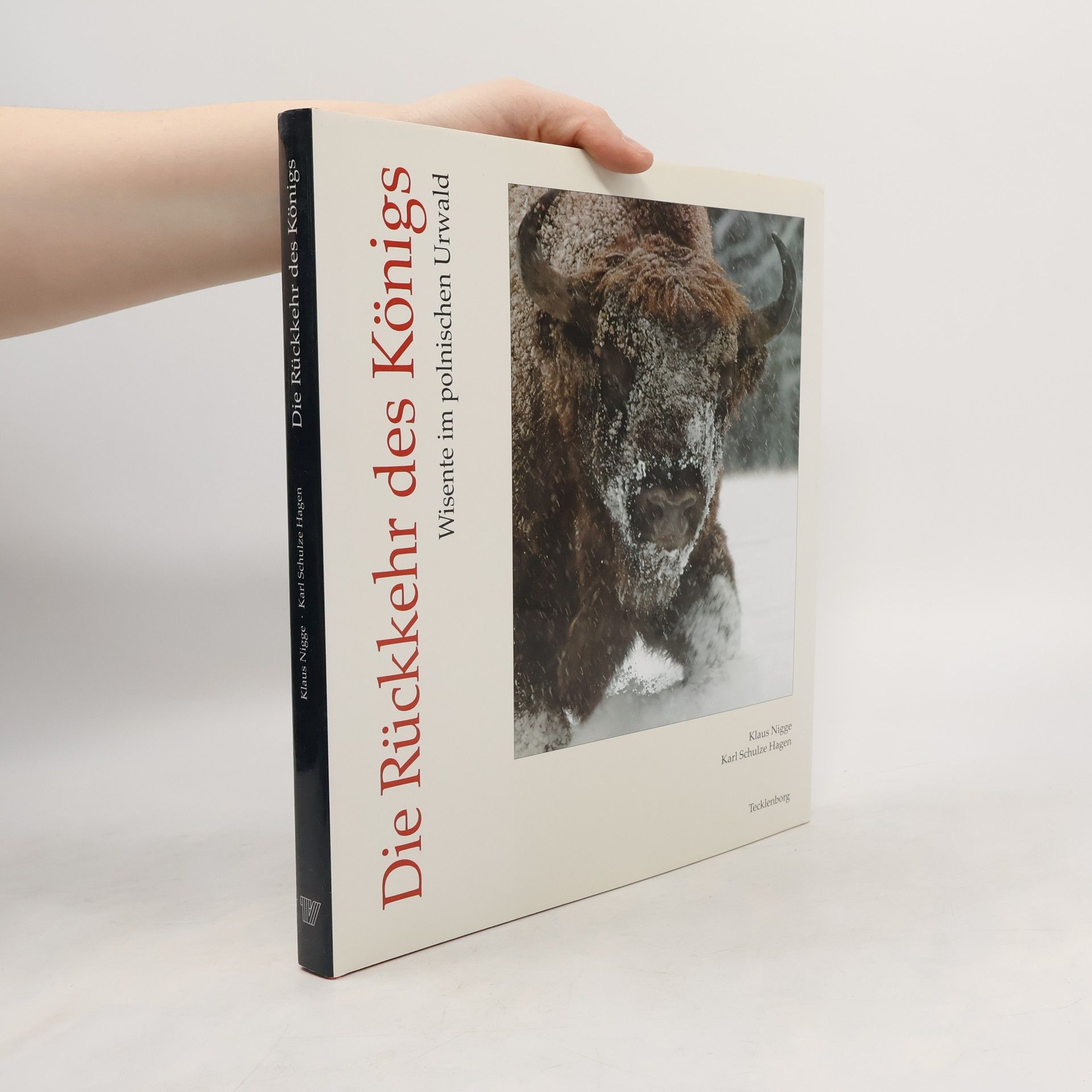 Die Rückkehr des Königs