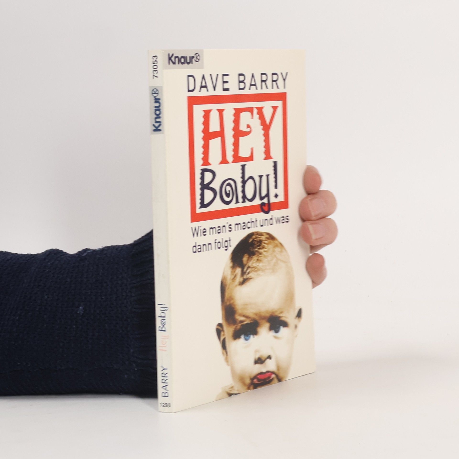 Dave Barry Hey Baby!