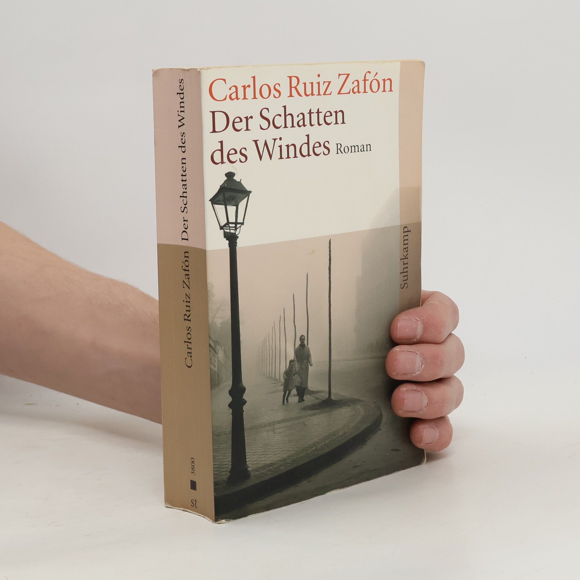 Carlos Ruiz Zafón Der Schatten des Windes