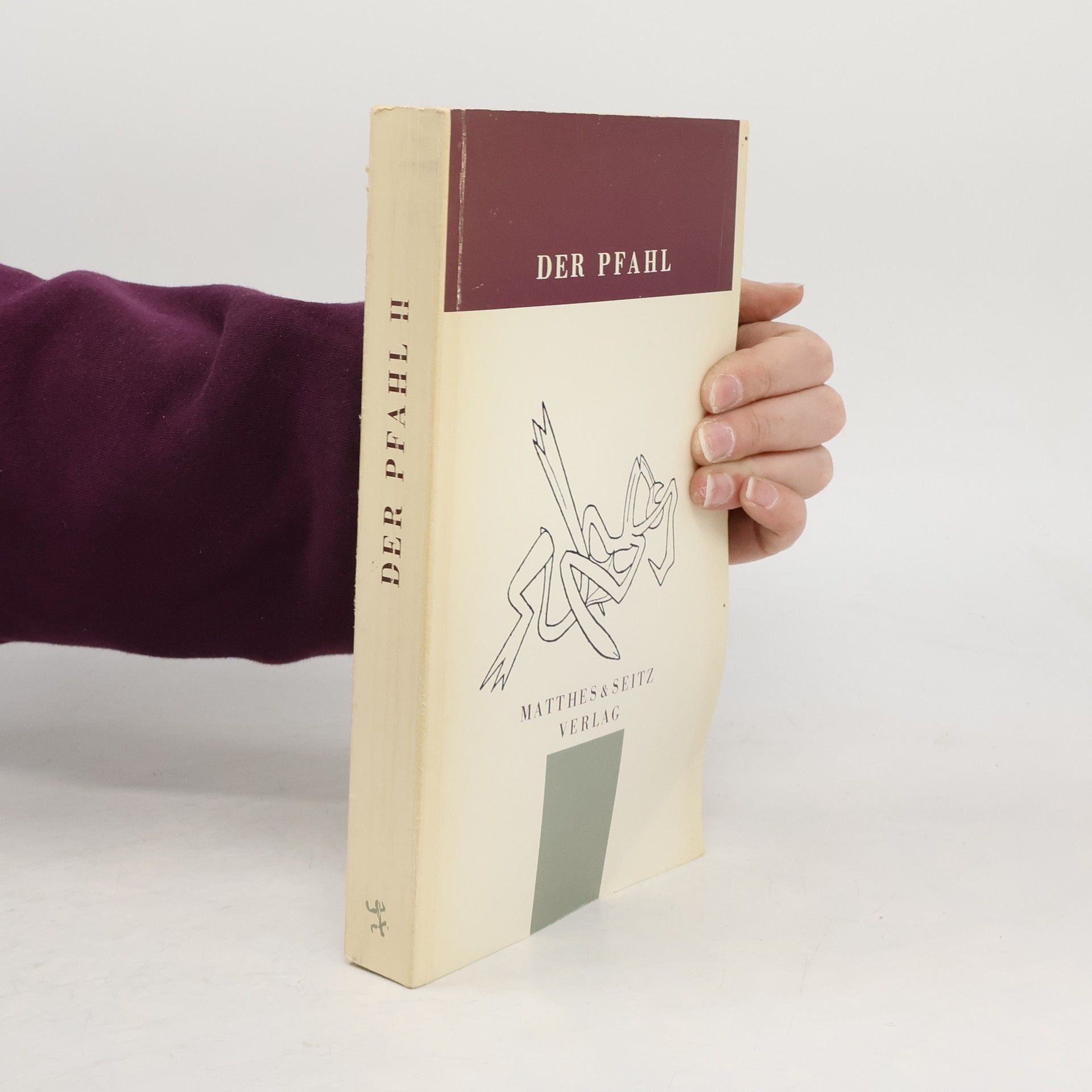 Autorenkollektiv Der Pfahl II