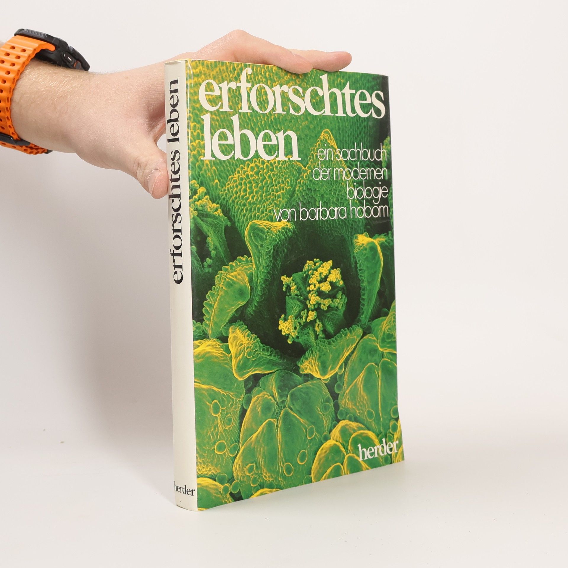 Barbara Hobom Erforschtes Leben