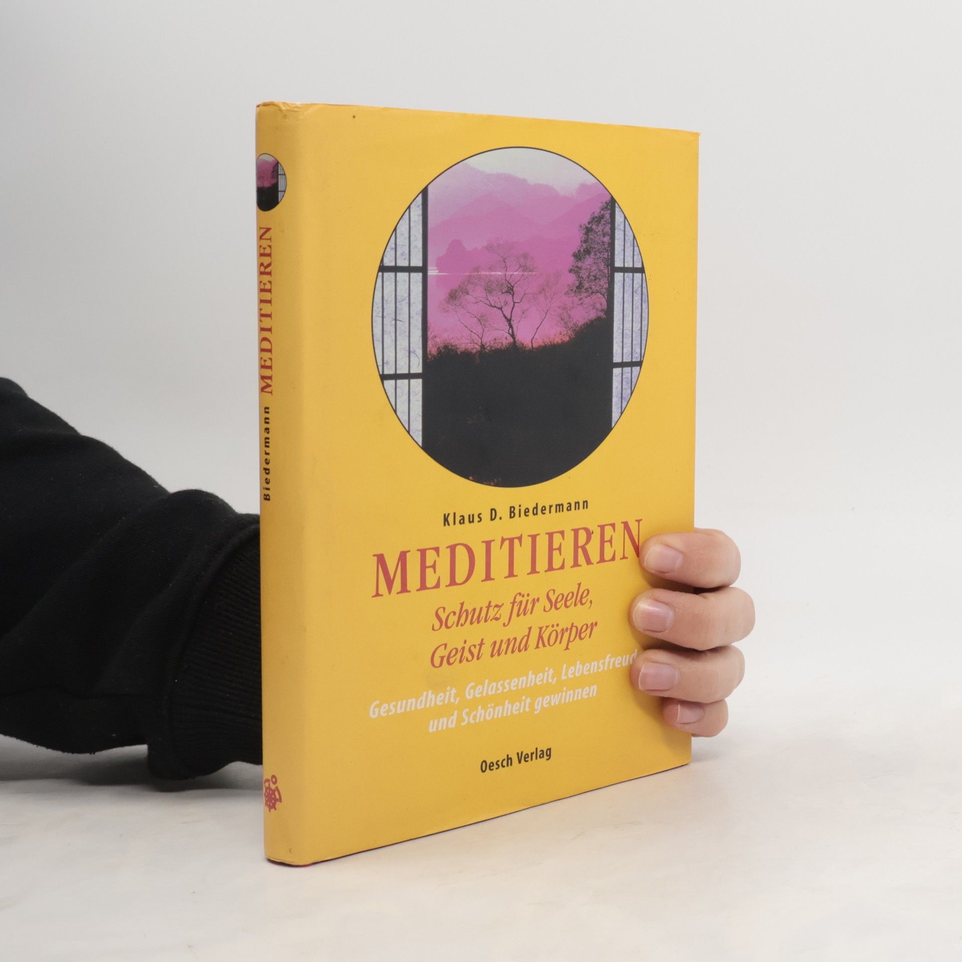 Klaus Biedermann Meditieren