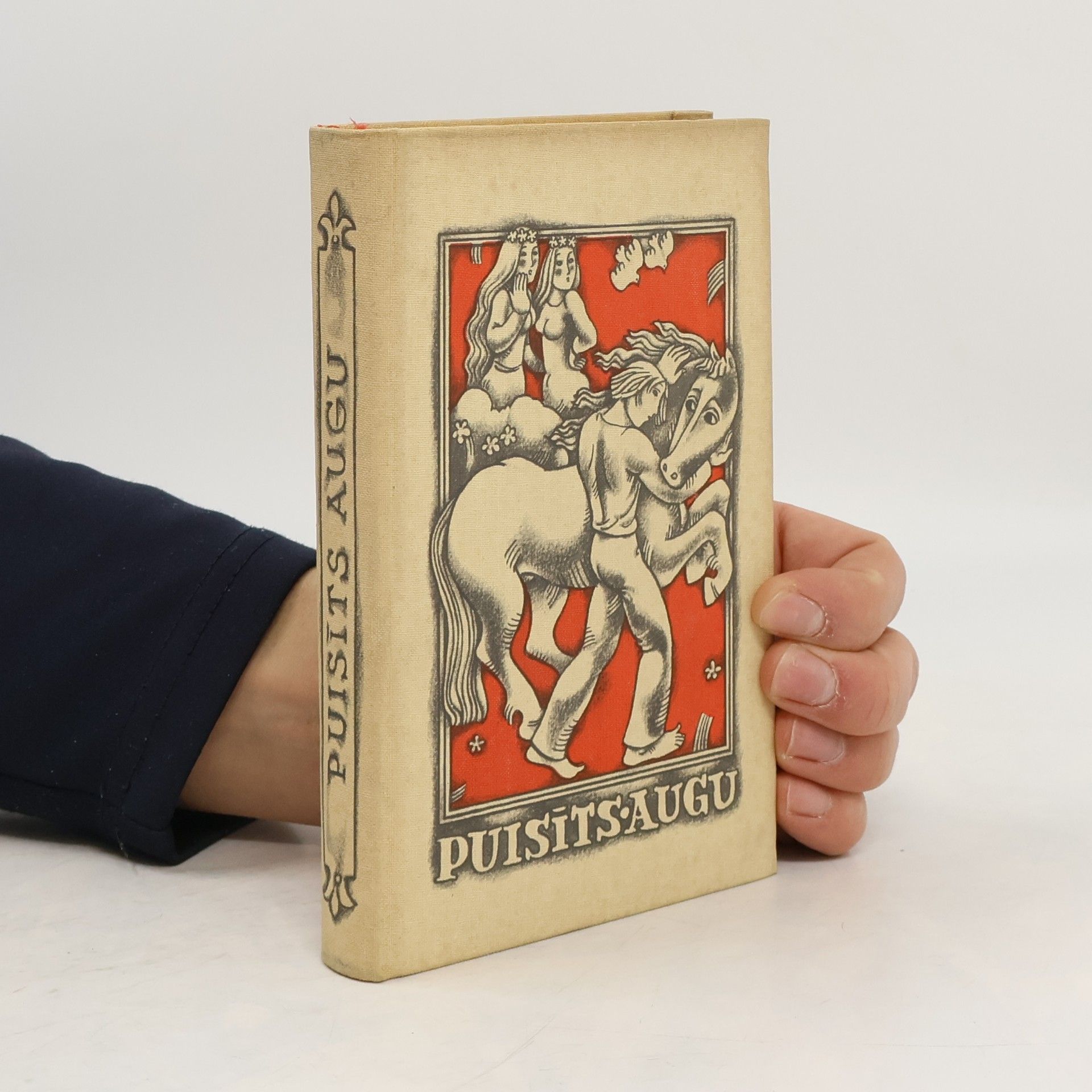 Kolektiv autorů Puisits augu