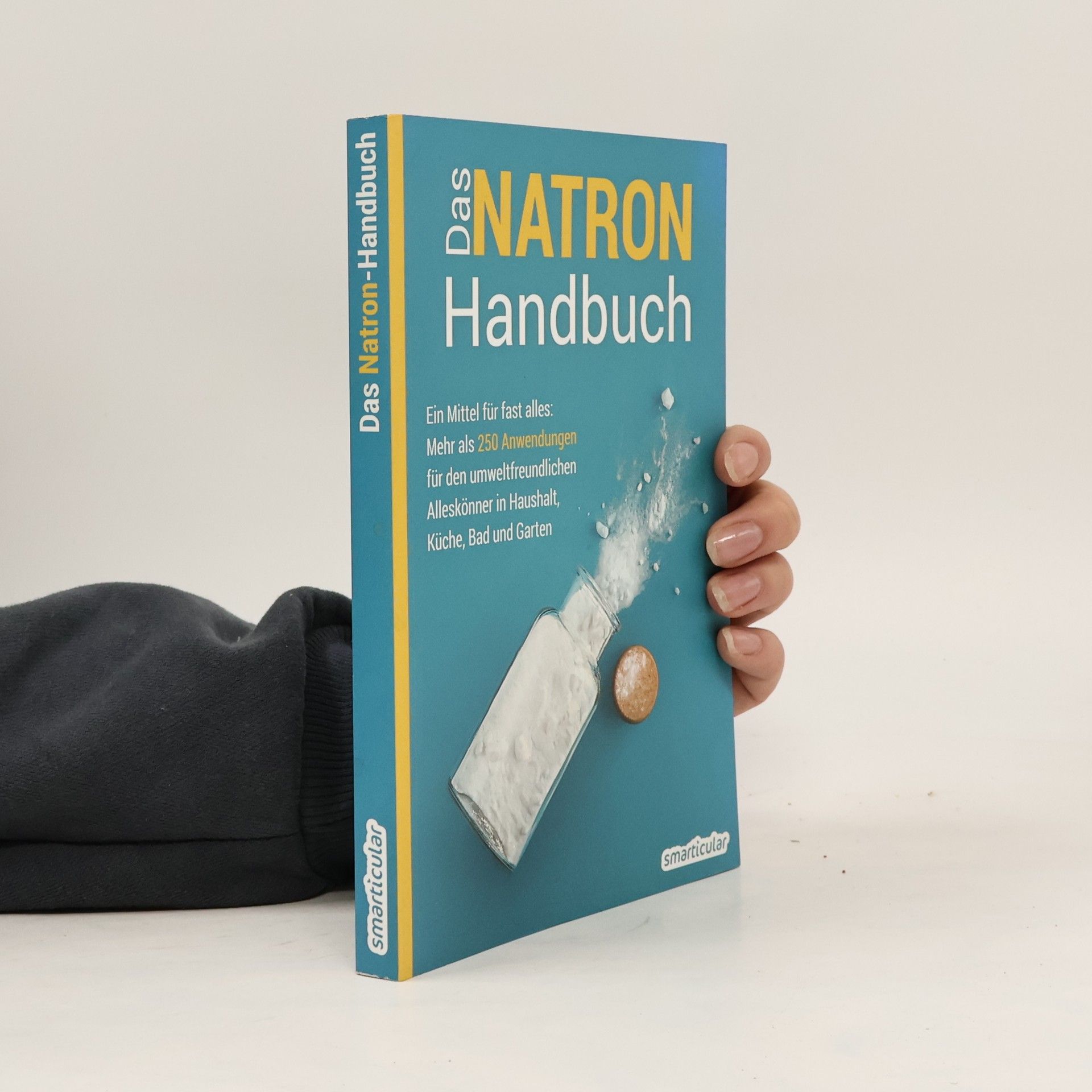 Auteurscollectief Das Natron-Handbuch