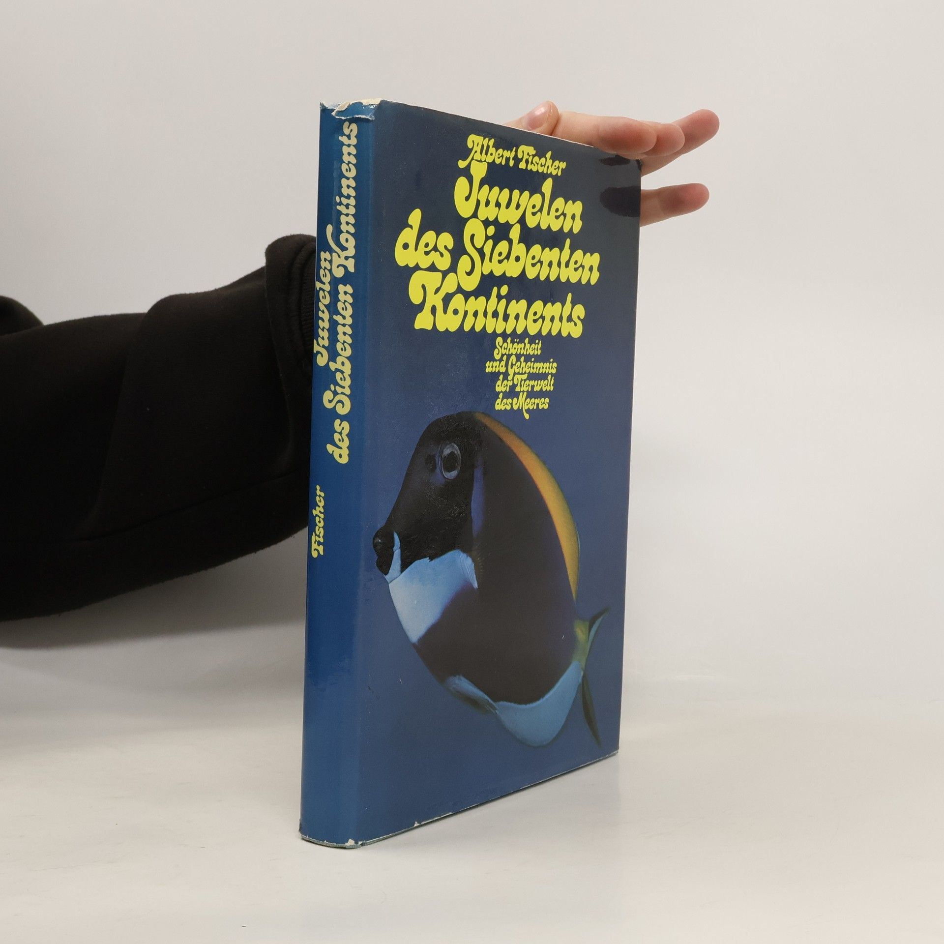 Juwelen des siebenten Kontinents