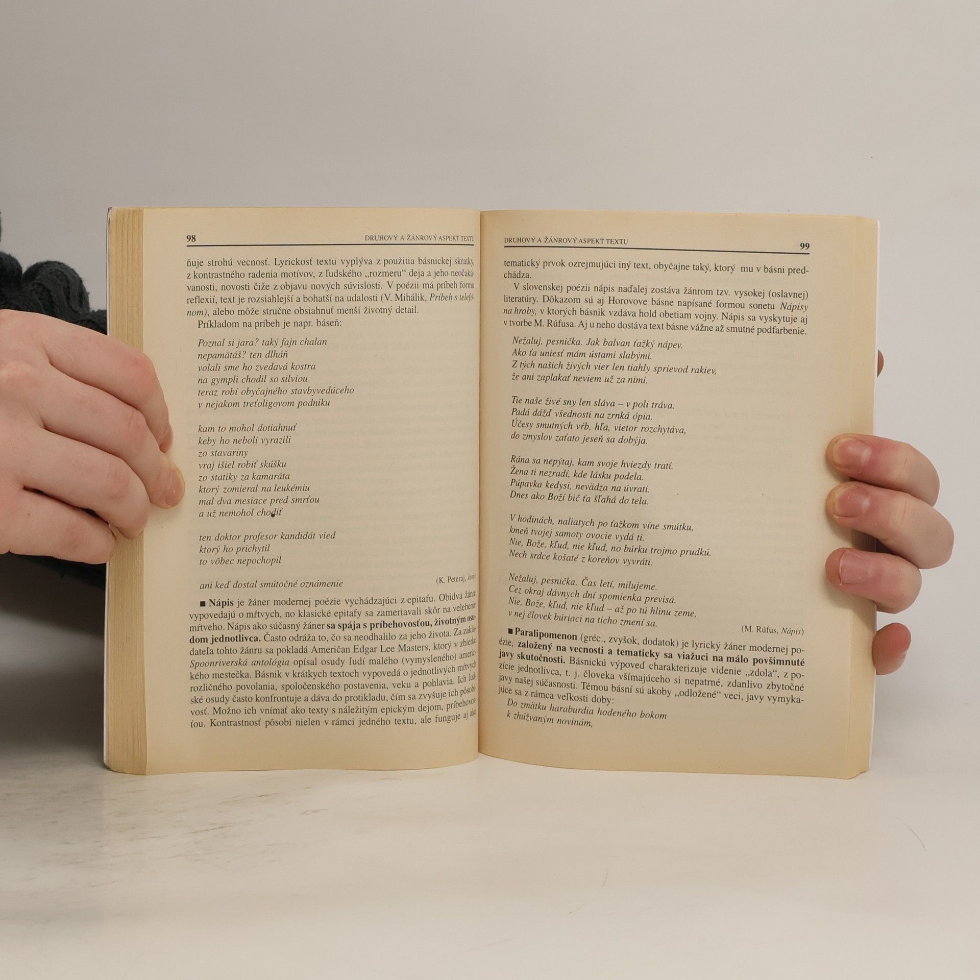 Autorenkollektiv Teória literatúry
