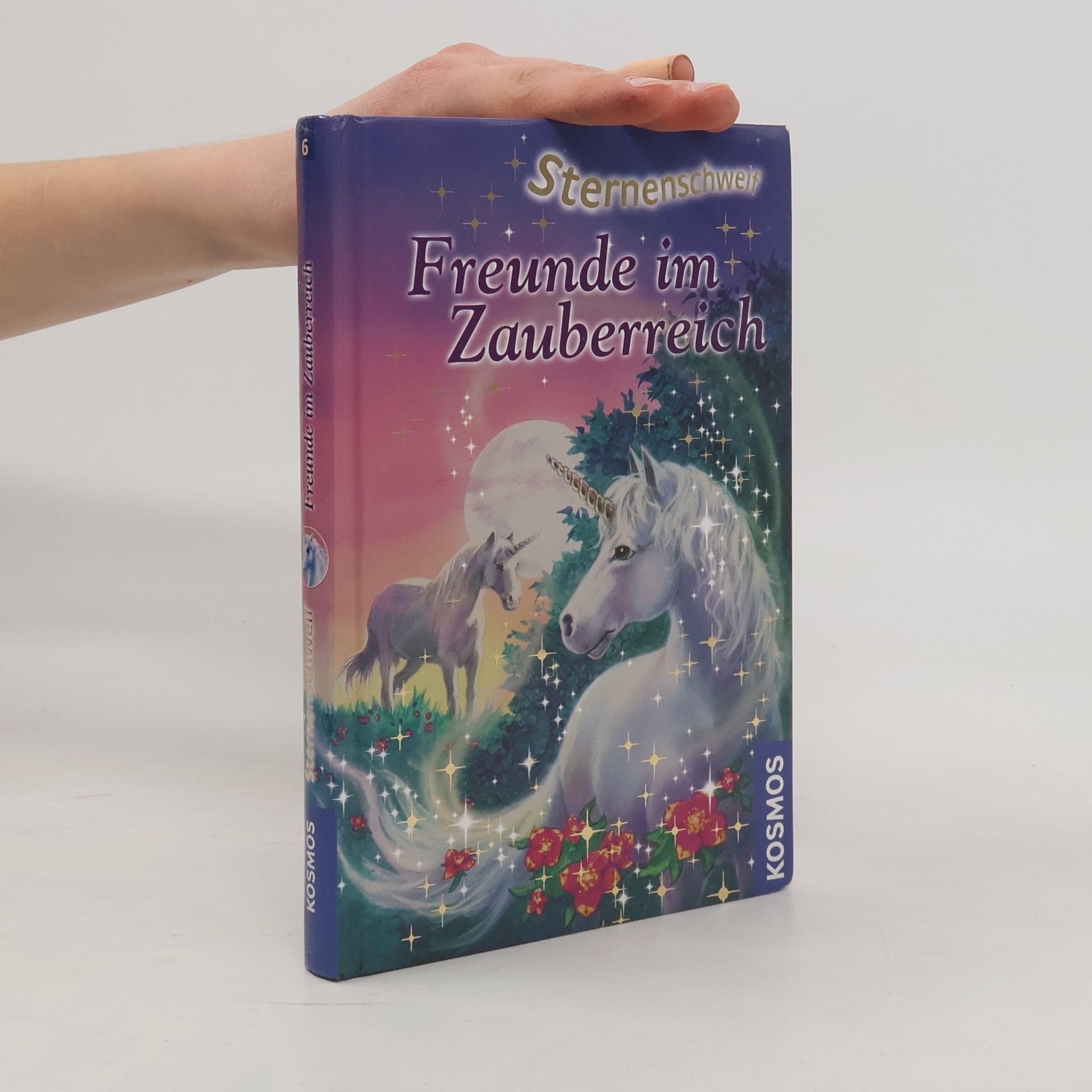 Linda Chapman Sternenschweif - Freunde im Zauberreich