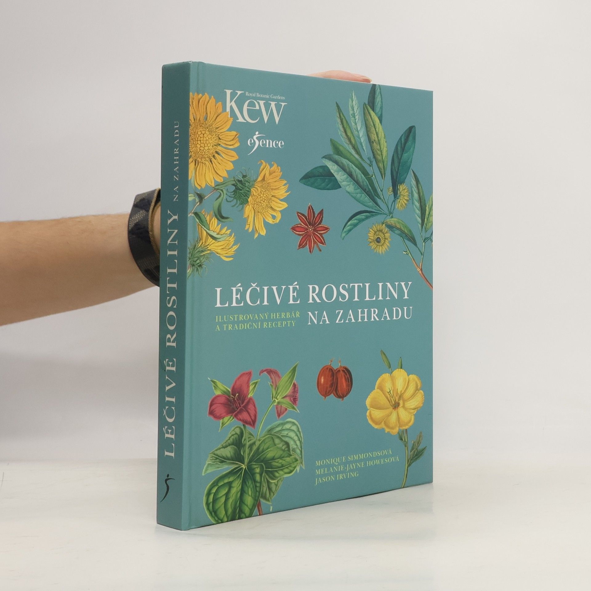 Léčivé rostliny na zahradu