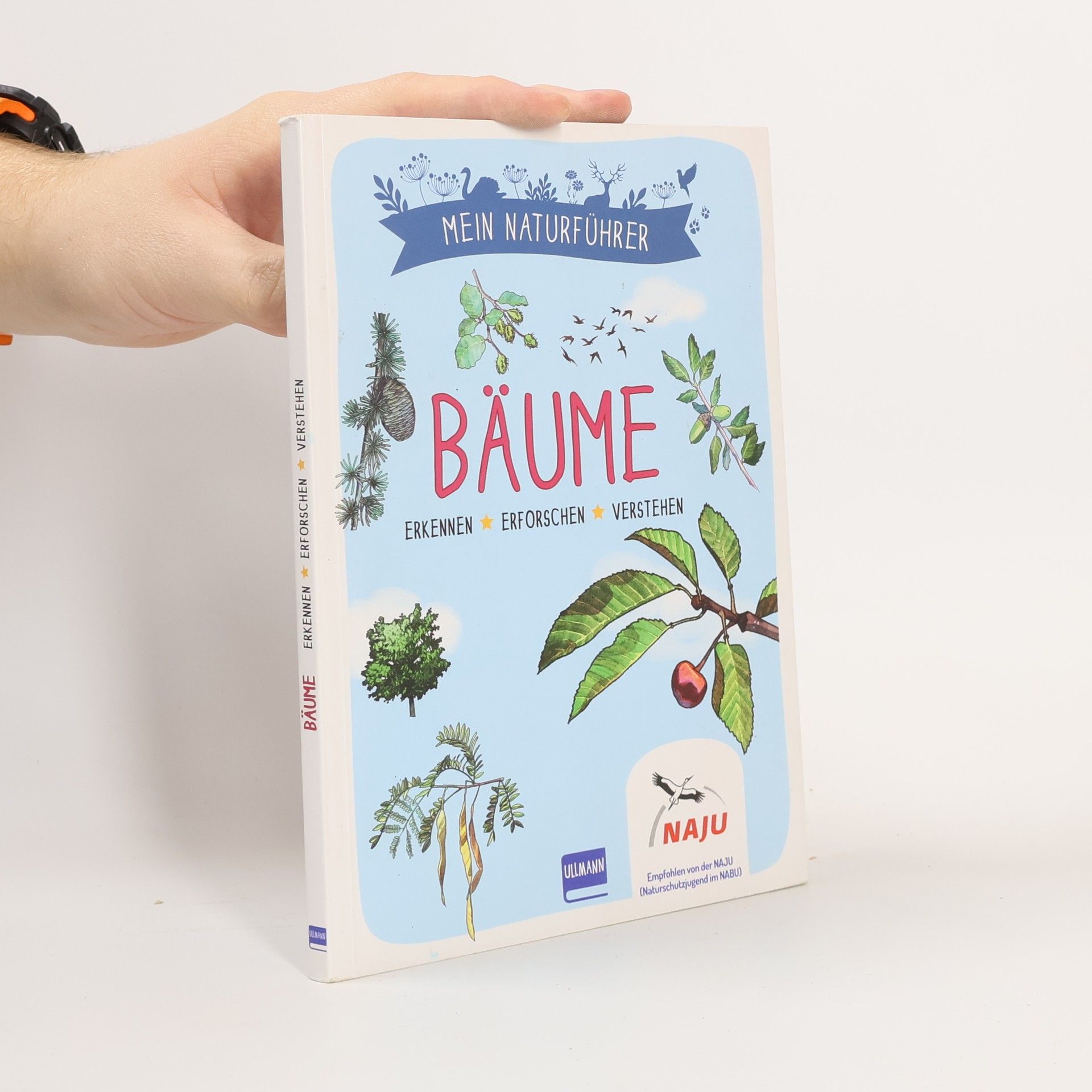 Mein Naturführer - Bäume. Erkennen · erforschen · verstehen