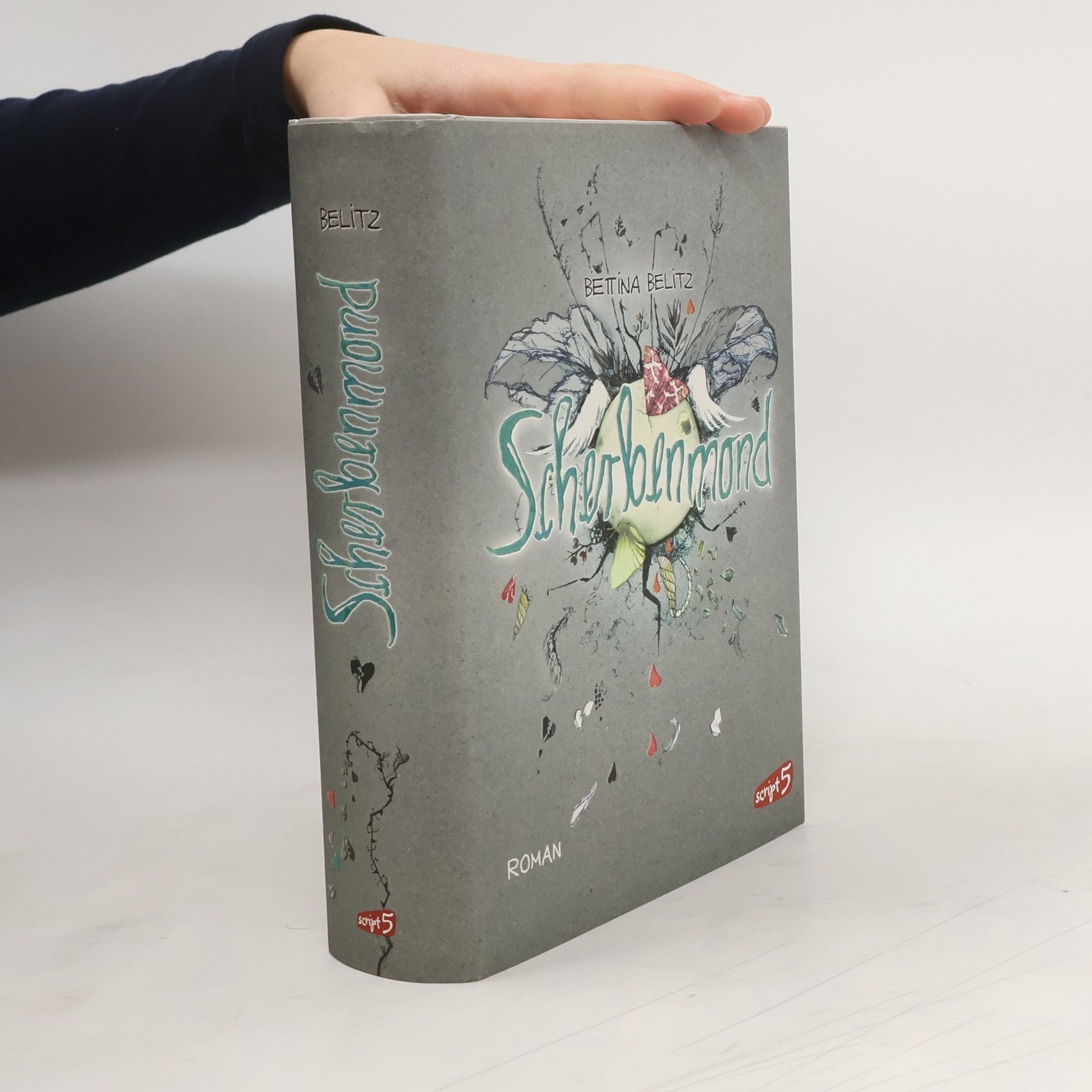 Bettina Belitz Scherbenmond