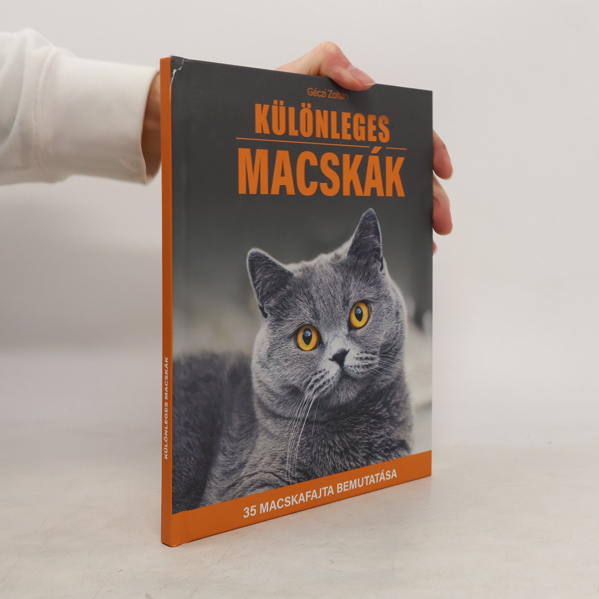 Géczi Zoltán Különleges Macskák