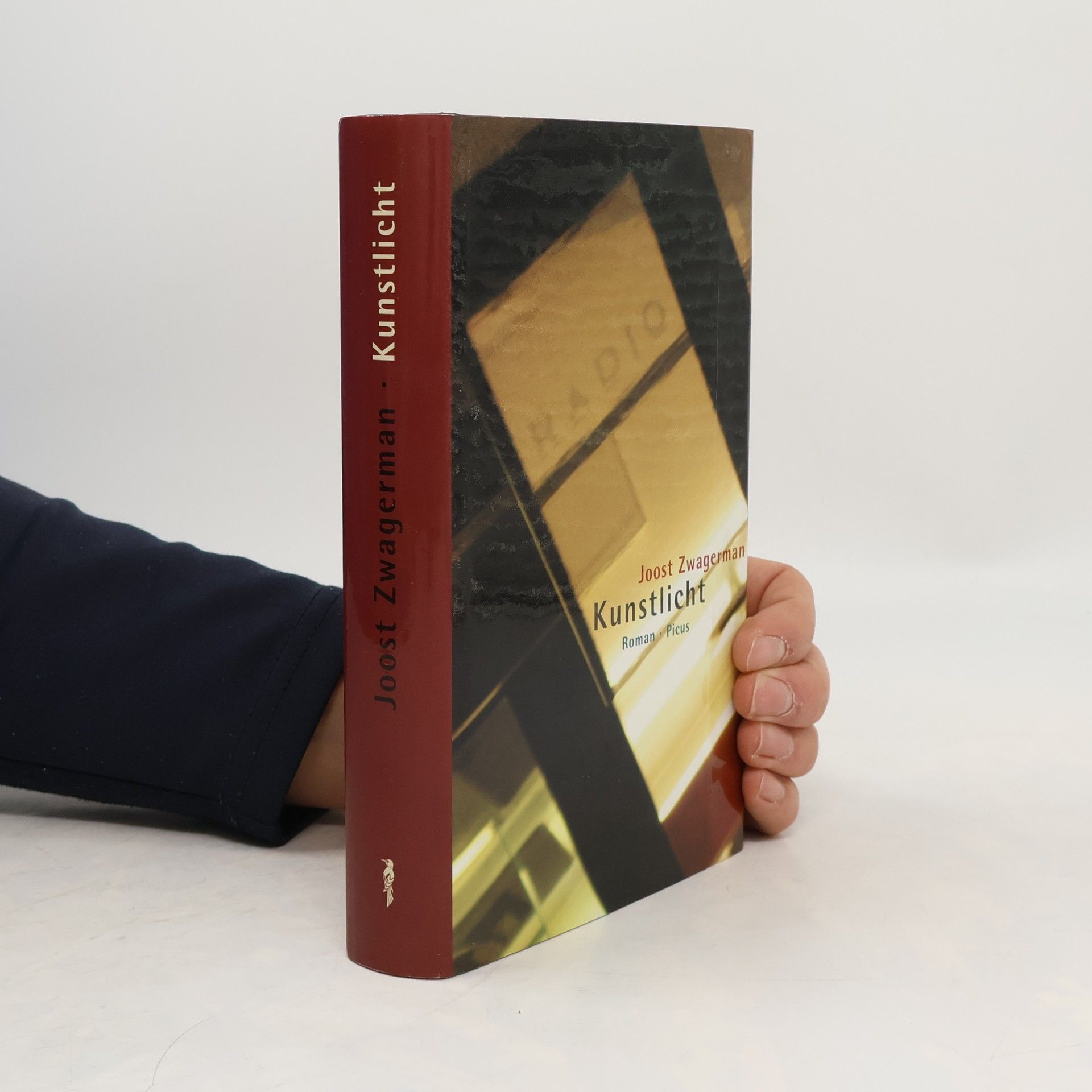 Joost Zwagerman Kunstlicht