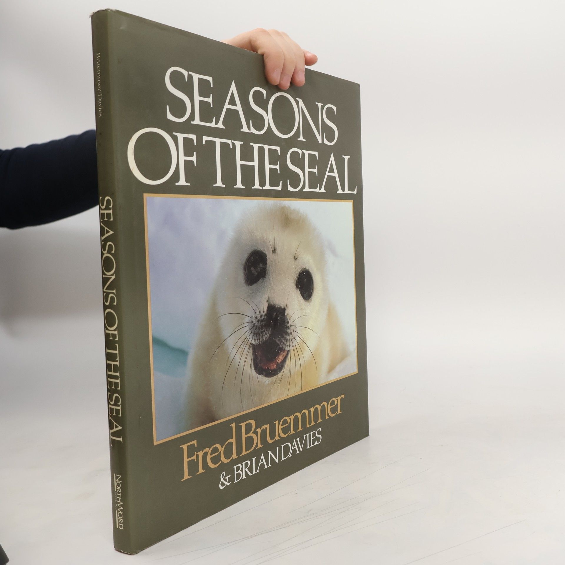 Seasons of the Seal