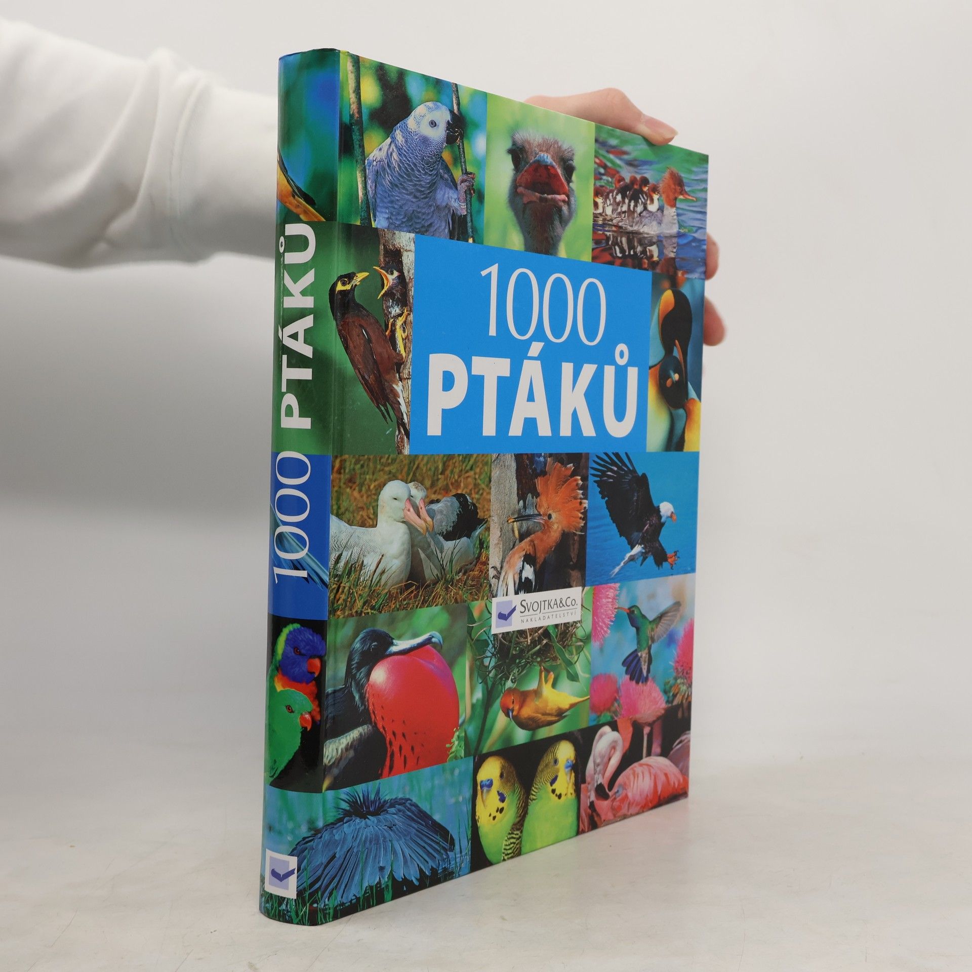 Autorenkollektiv 1000 ptáků