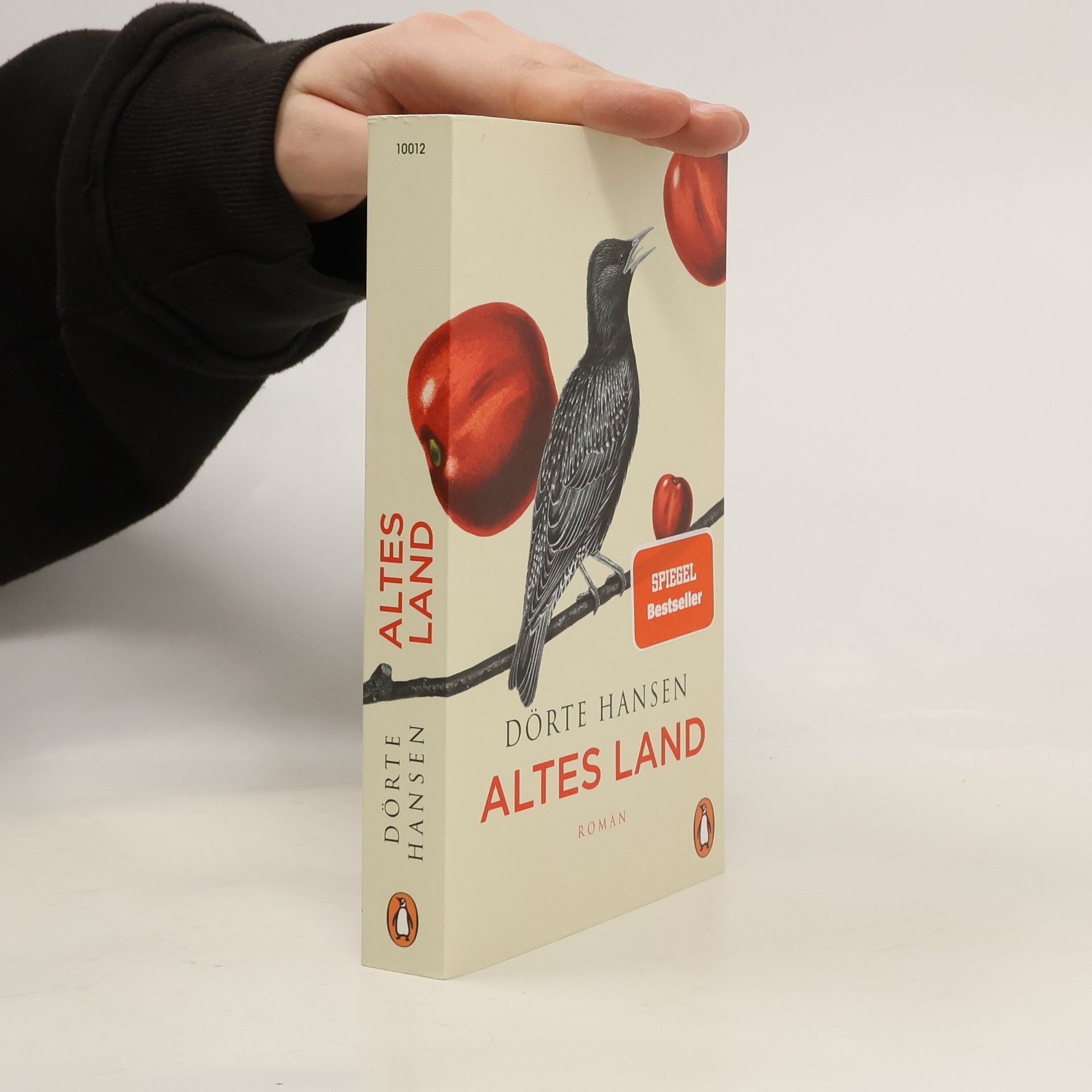 Dörte Hansen Altes Land