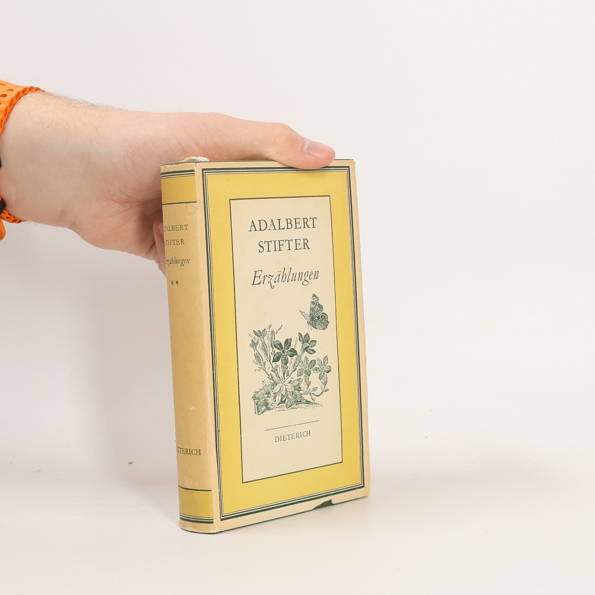 Adalbert Stifter Erzählungen II.