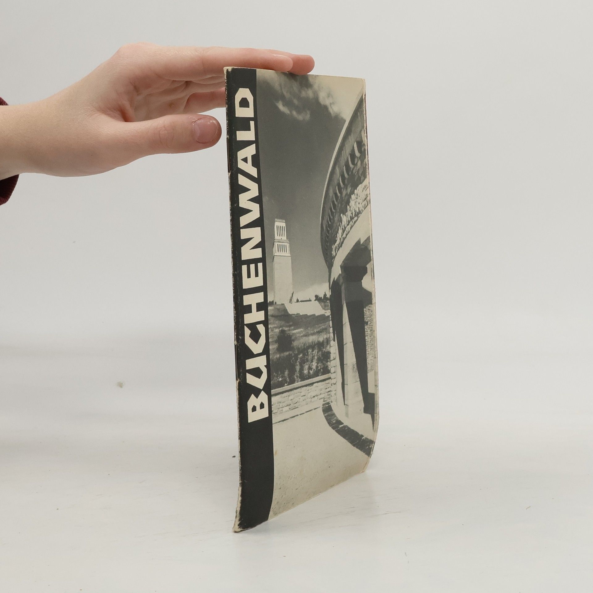 Collectif d'auteurs Buchenwald