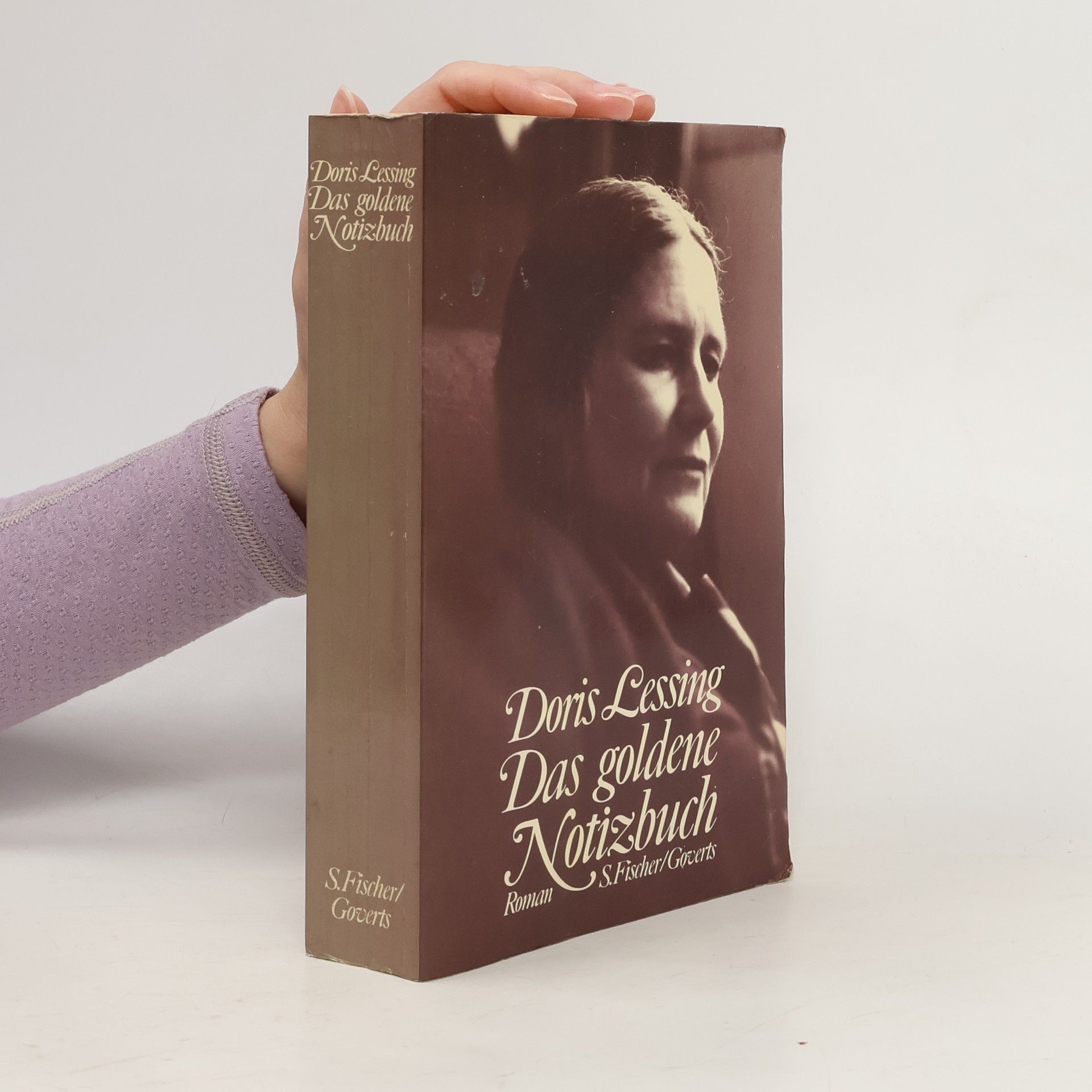 Doris Lessing Das goldene Notizbuch