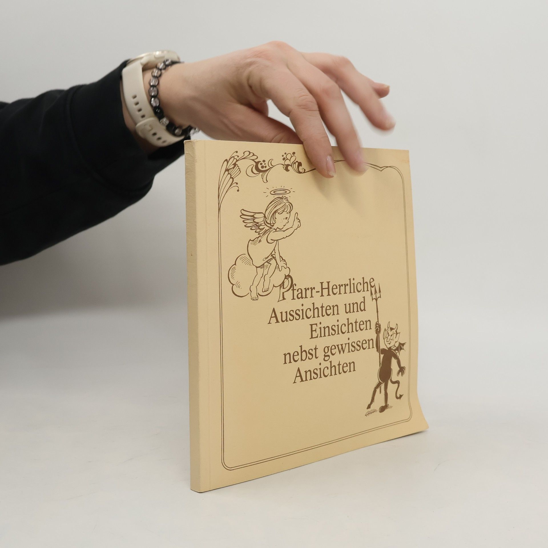 Pfarr-herrliche Aussichten und Einsichten nebst gewissen Ansichten