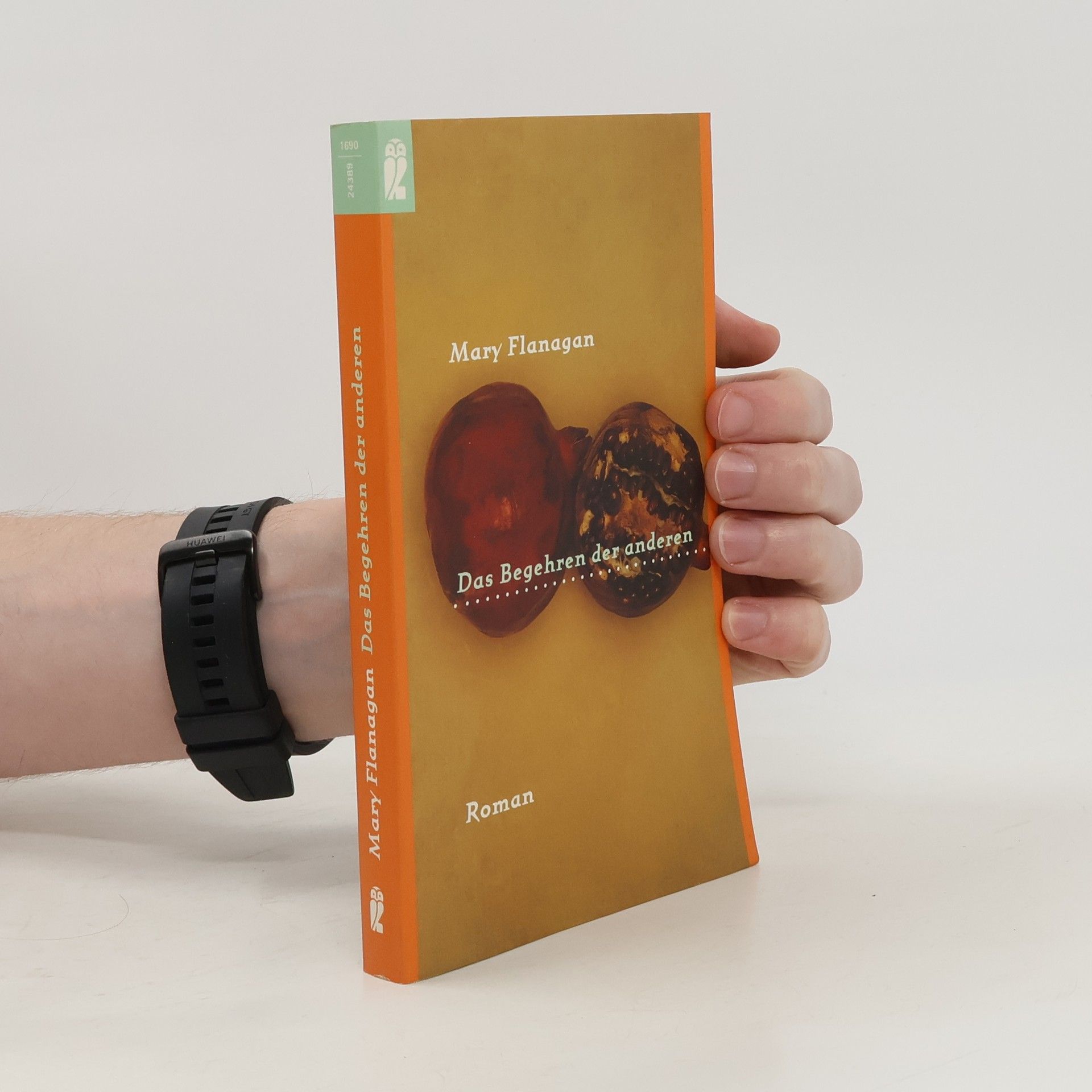 Mary Flanagan Das Begehren der anderen Roman