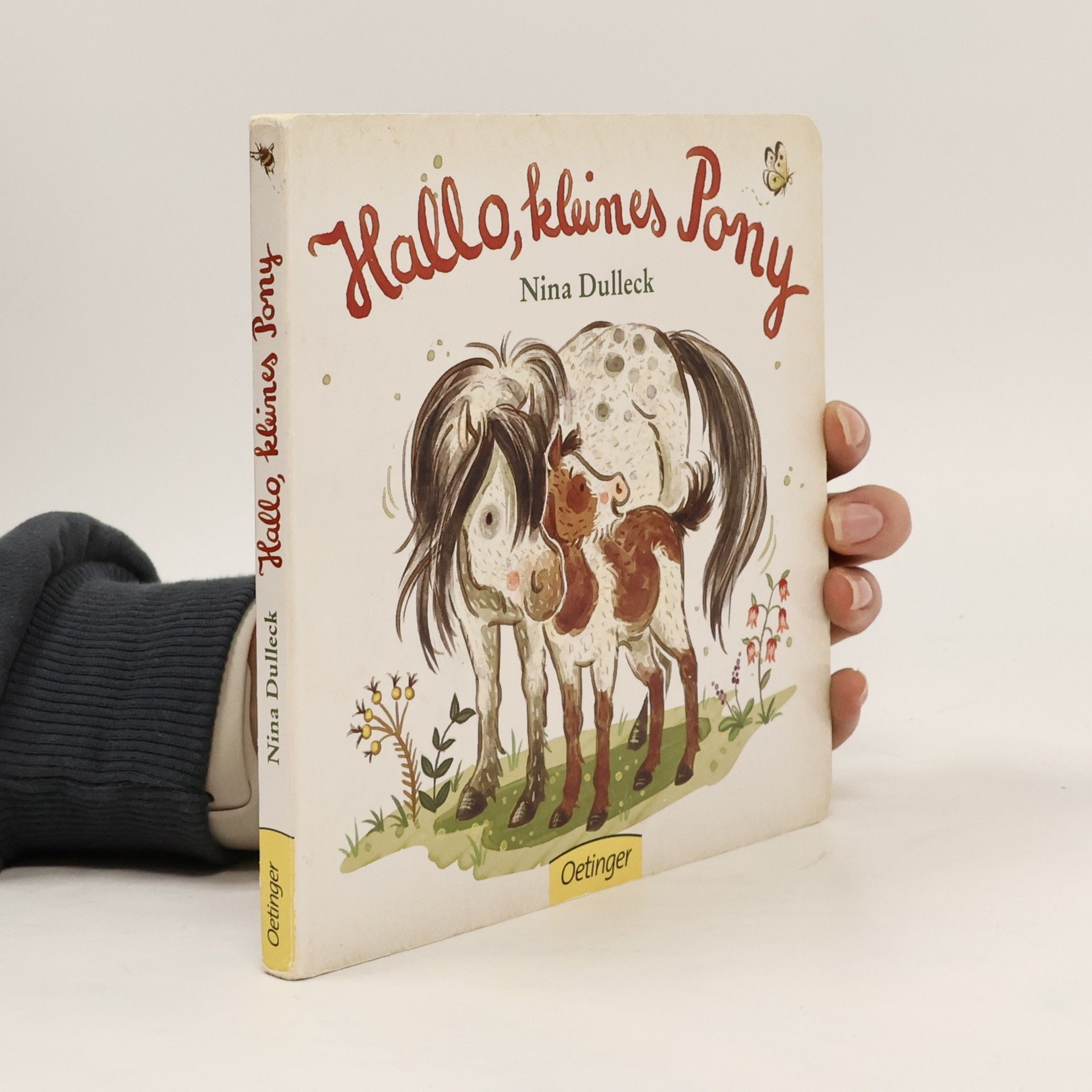 Nina Dulleck Hallo, kleines Pony!