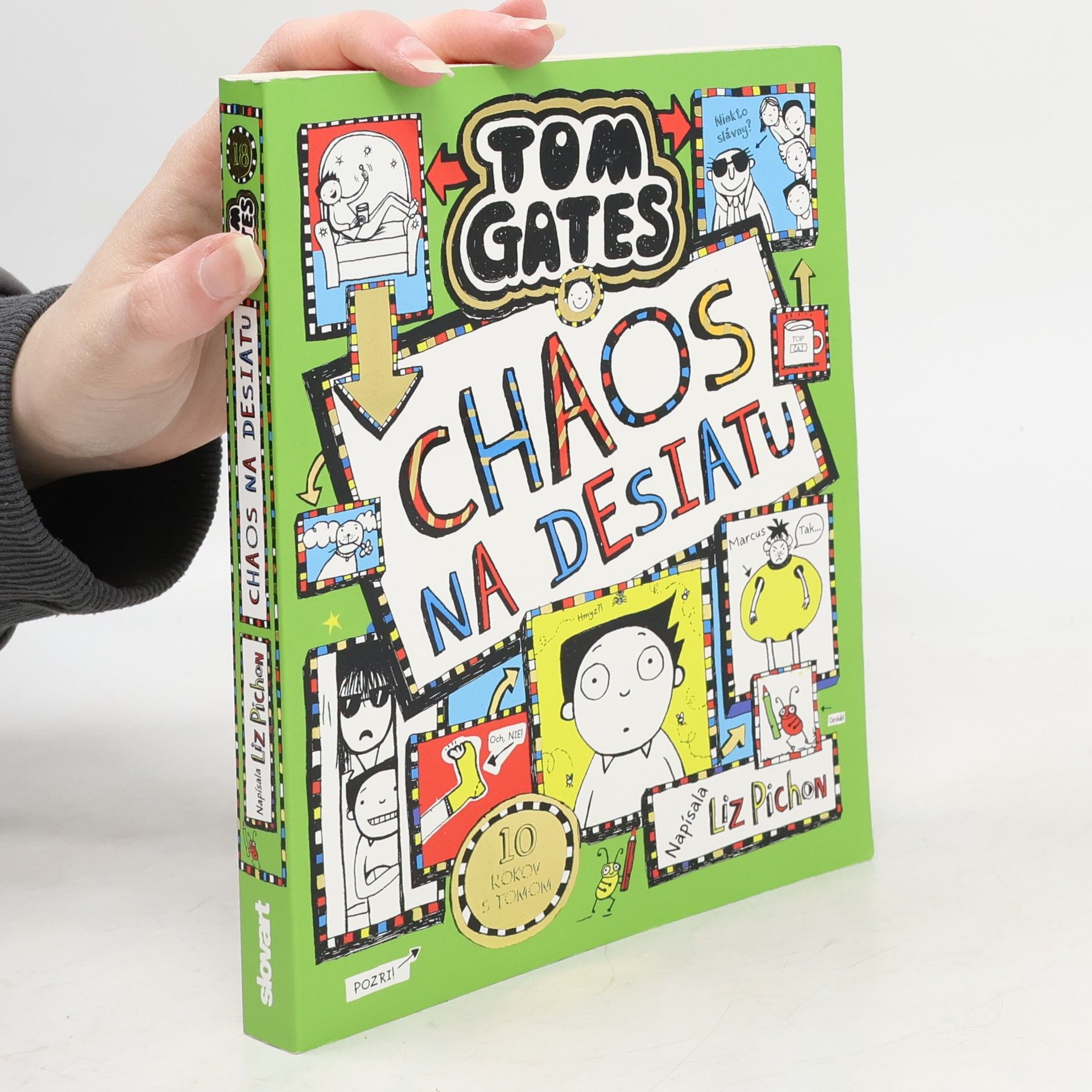 Liz Pichon Chaos na desiatu