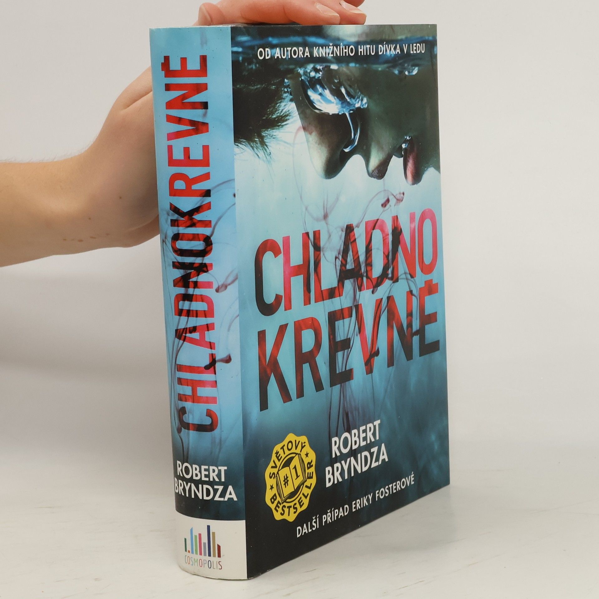 Robert Bryndza Chladnokrevně