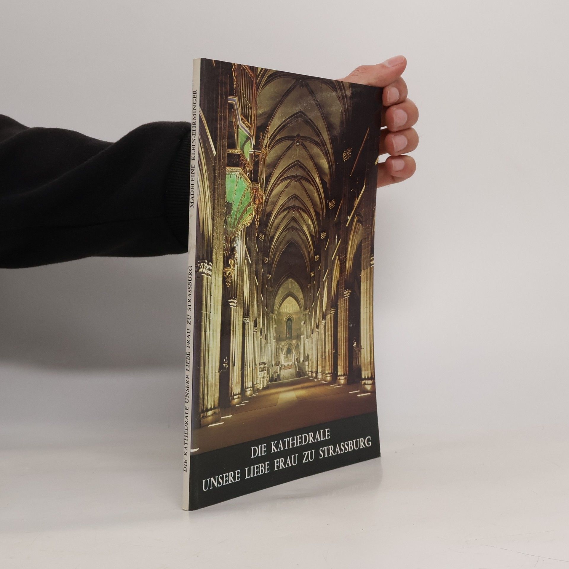 Madeleine KleinEhrminger Die Kathedrale Unsere liebe Frau zu Strassburg