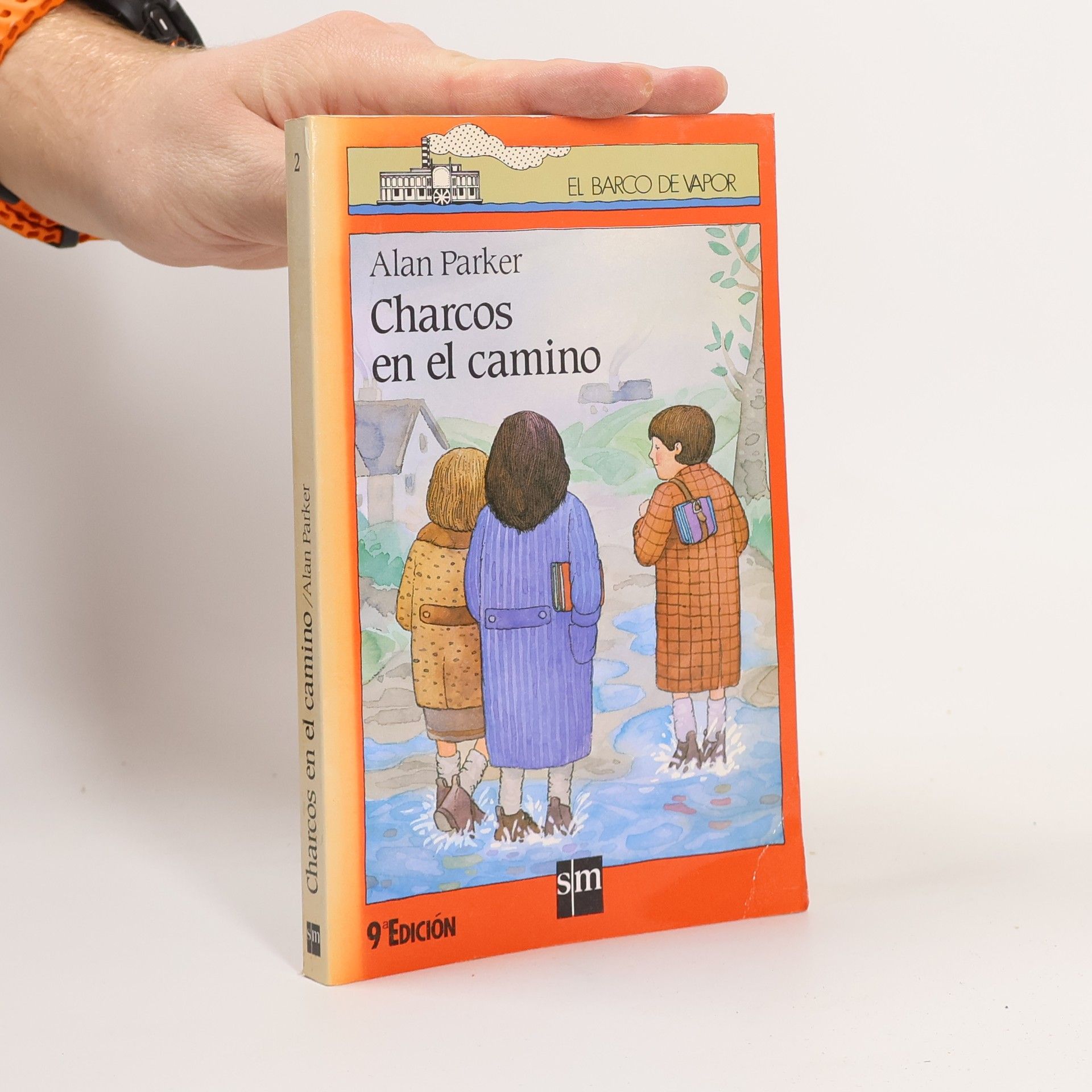 Charcos en el camino