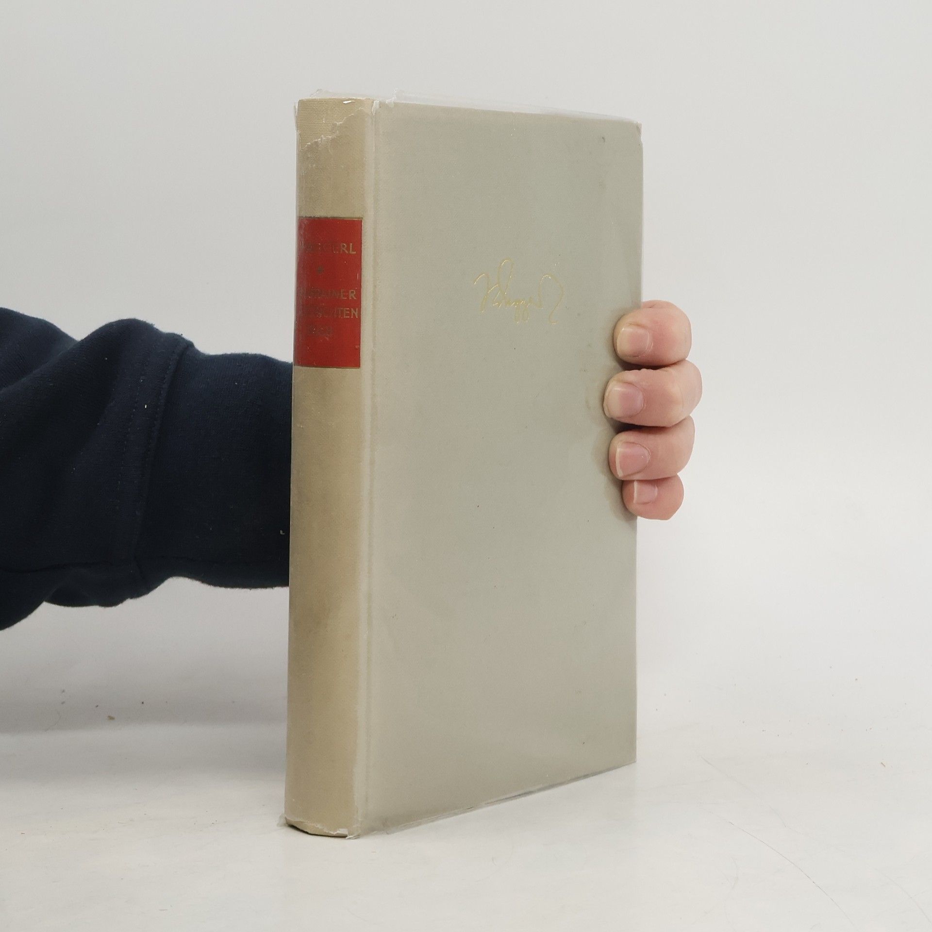 Wagrainer Geschichtenbuch