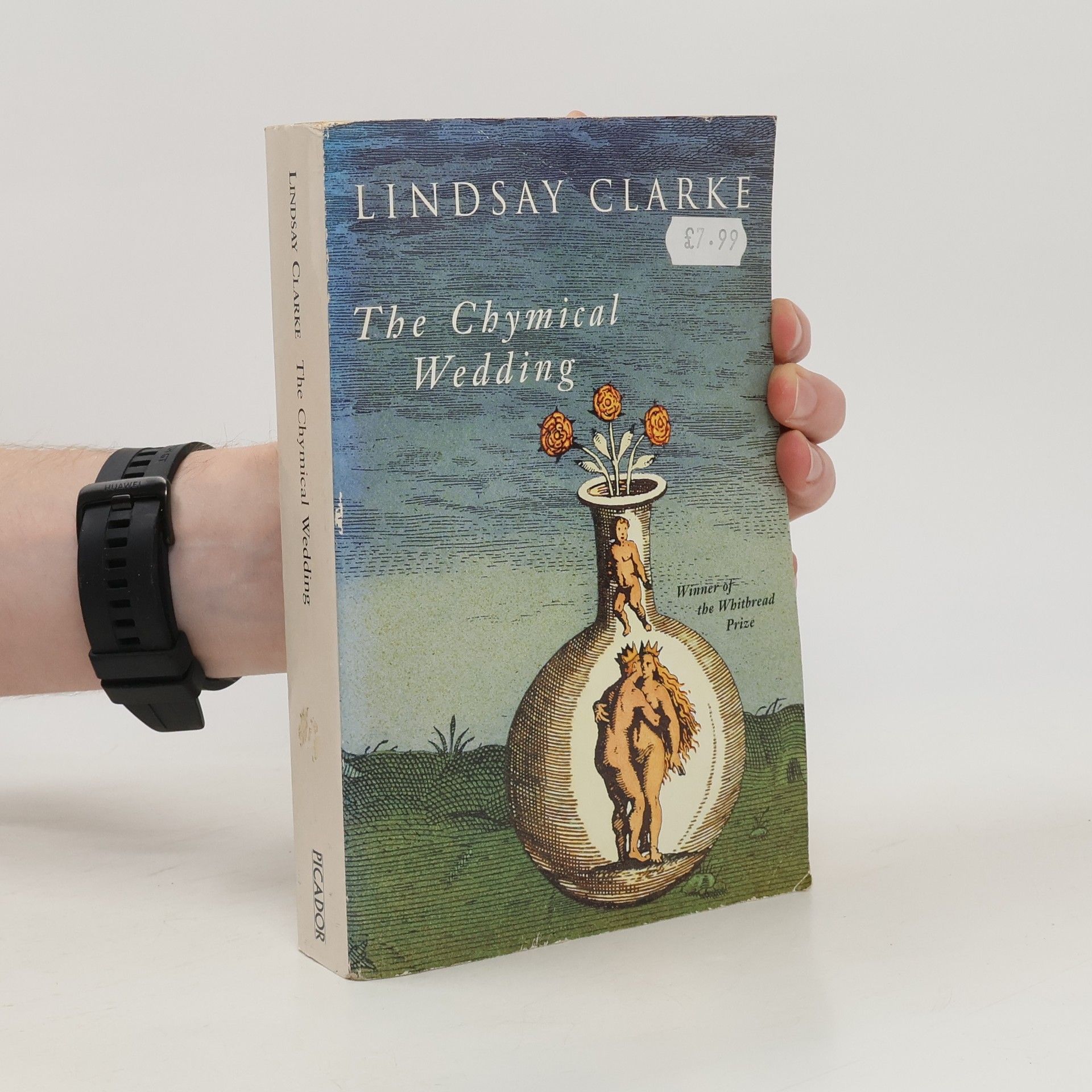 Lindsay Clarke The chymical wedding