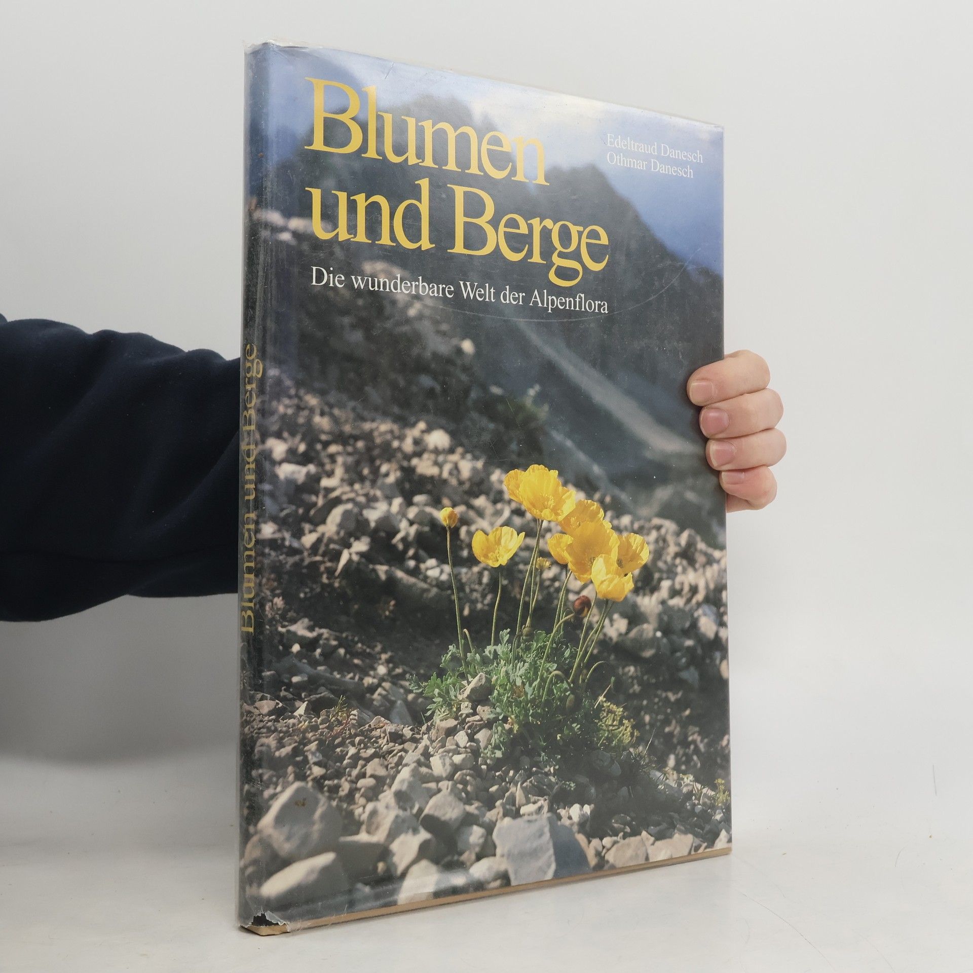 Blumen und Berge