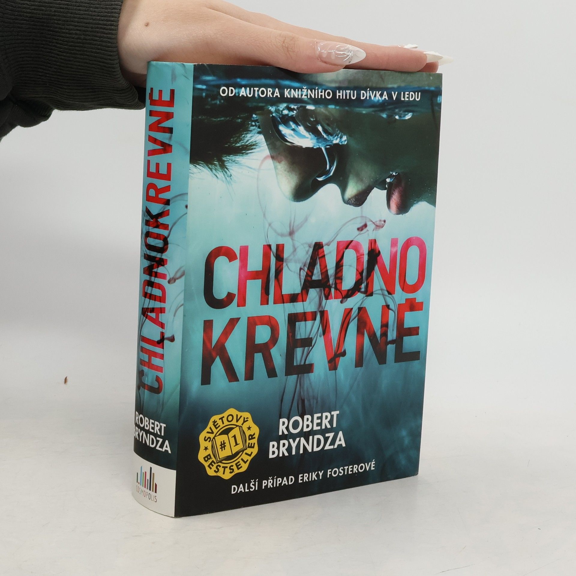 Robert Bryndza Chladnokrevně