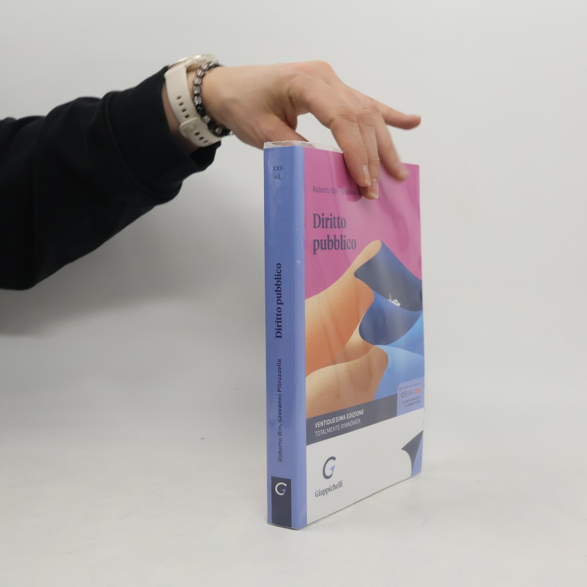 Roberto Bin Diritto pubblico